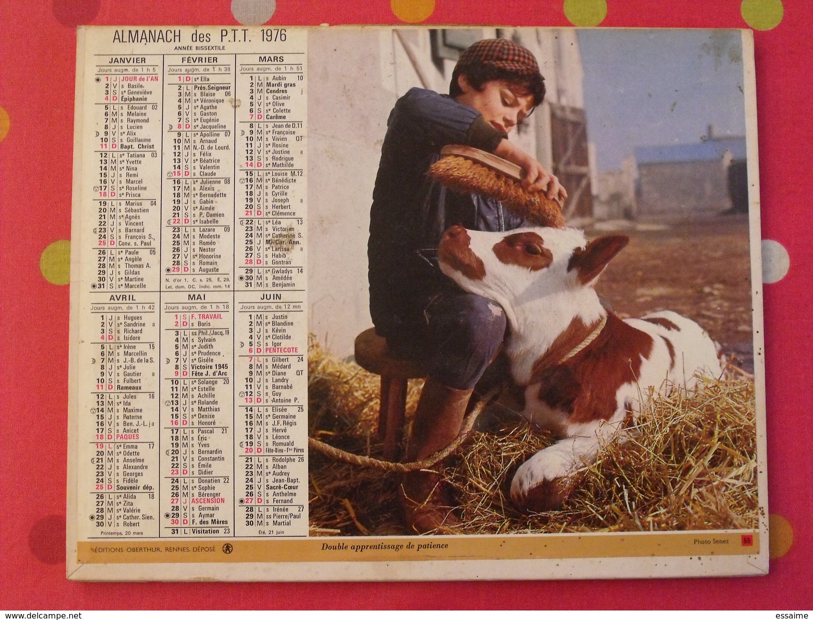 Almanach Des PTT. 1976. Calendrier Poste, Postes Télégraphes. Veau Mouton Fillette - Tamaño Grande : 1971-80
