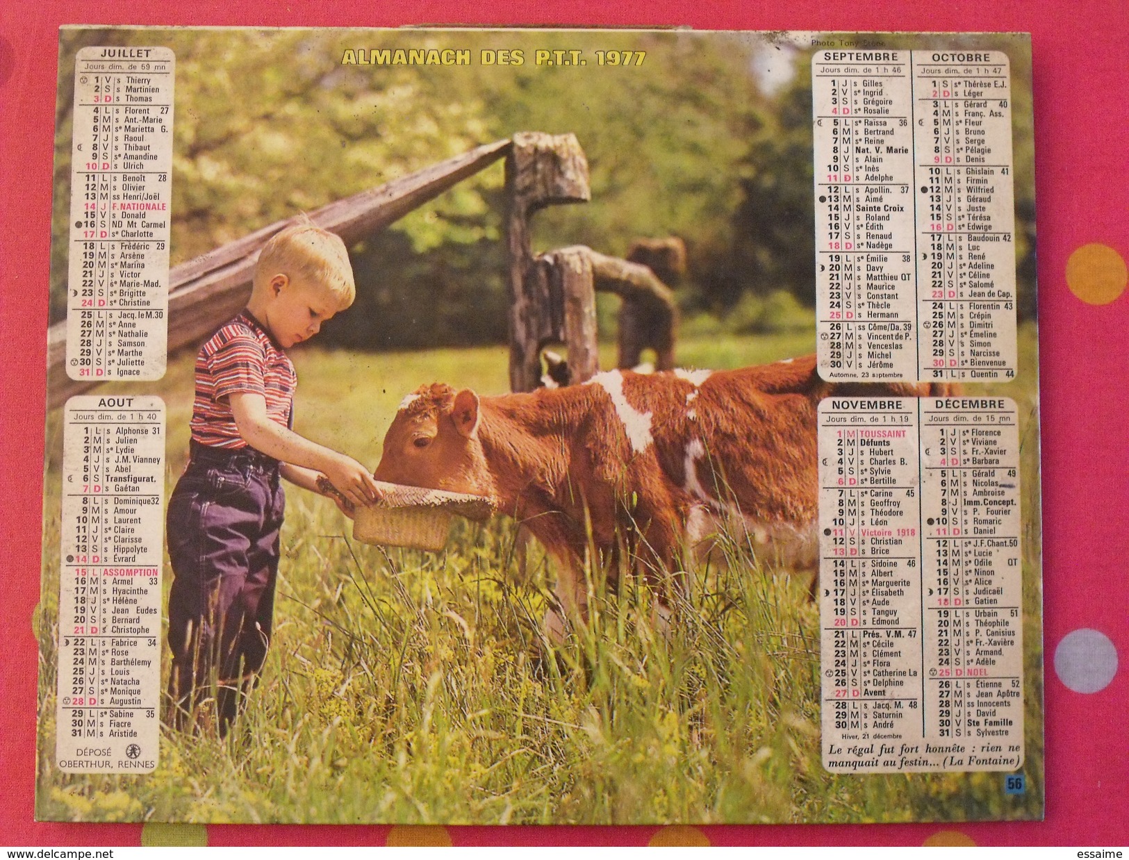 Almanach Des PTT. 1977. Calendrier Poste, Postes Télégraphes.veau Fillette Poney - Tamaño Grande : 1971-80