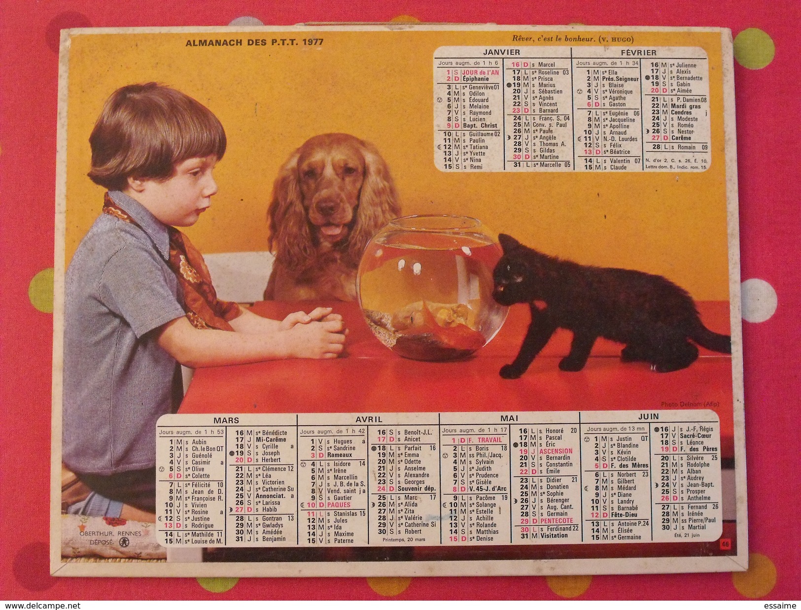 Almanach Des PTT. 1977. Calendrier Poste, Postes Télégraphes. Chay Chien âne Carriole Poisson Rouge - Formato Grande : 1971-80