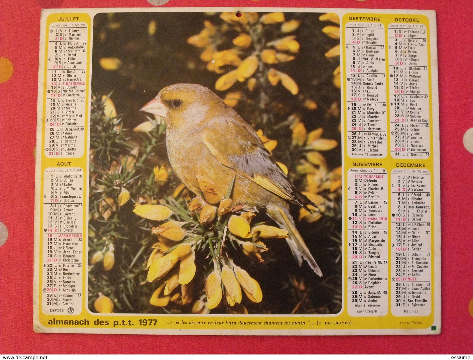 Almanach Des PTT. 1977. Calendrier Poste, Postes Télégraphes. Fillette Tourterelle Oiseau - Big : 1971-80