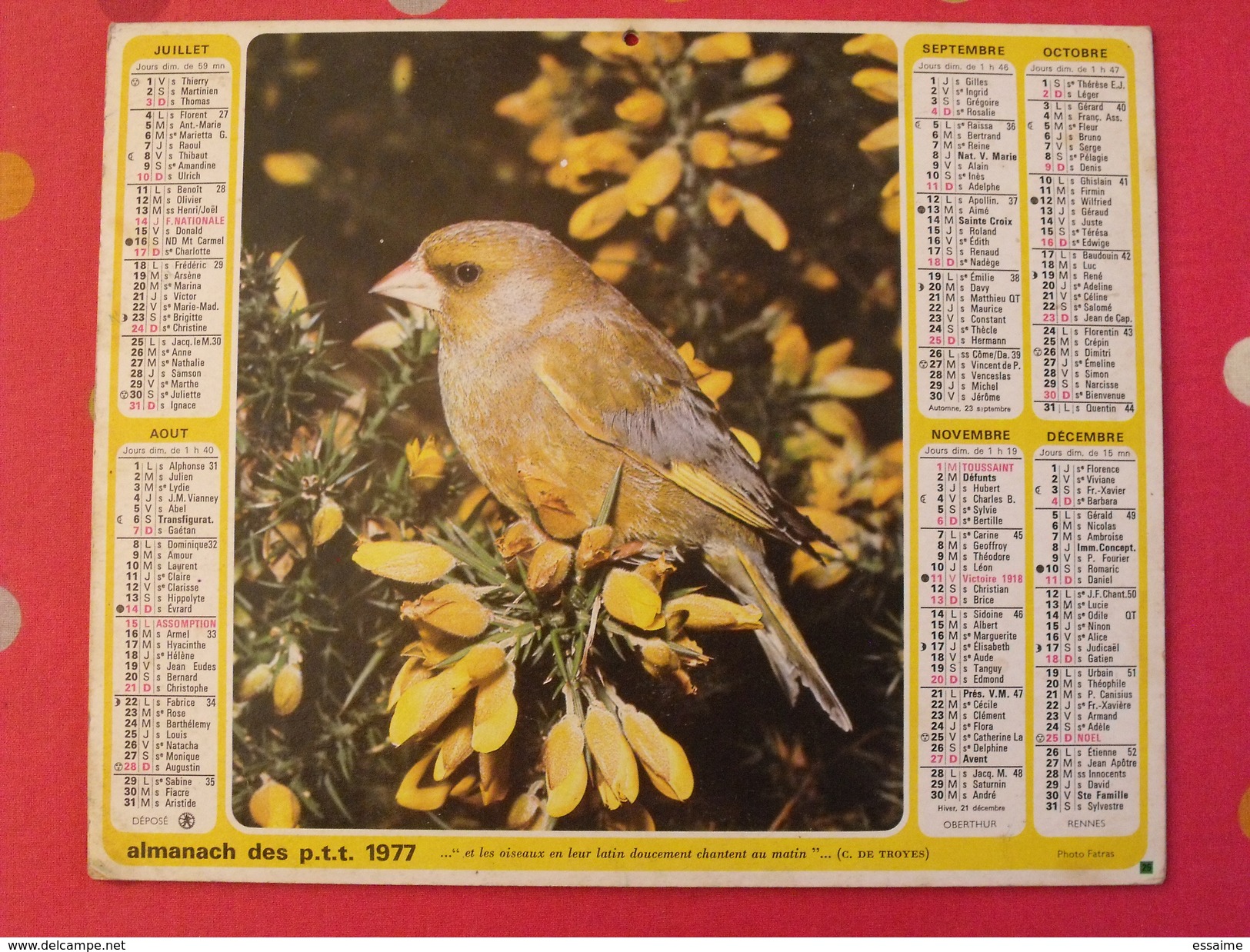 Almanach Des PTT. 1977. Calendrier Poste, Postes Télégraphes. Fillette Tourterelle Oiseau - Tamaño Grande : 1971-80