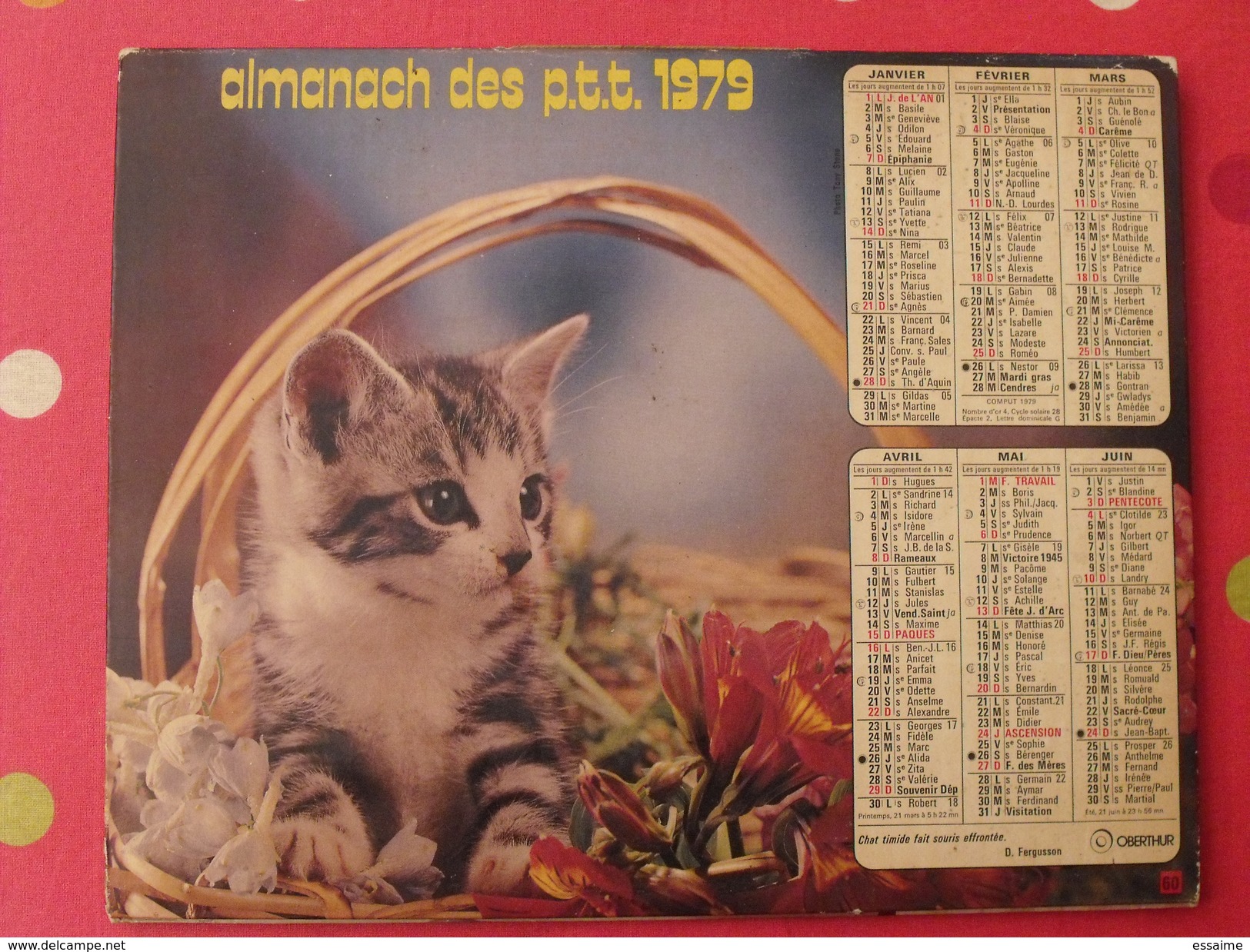 Almanach Des PTT. 1979. Calendrier Poste, Postes Télégraphes. Fillette Chien Chat - Tamaño Grande : 1971-80