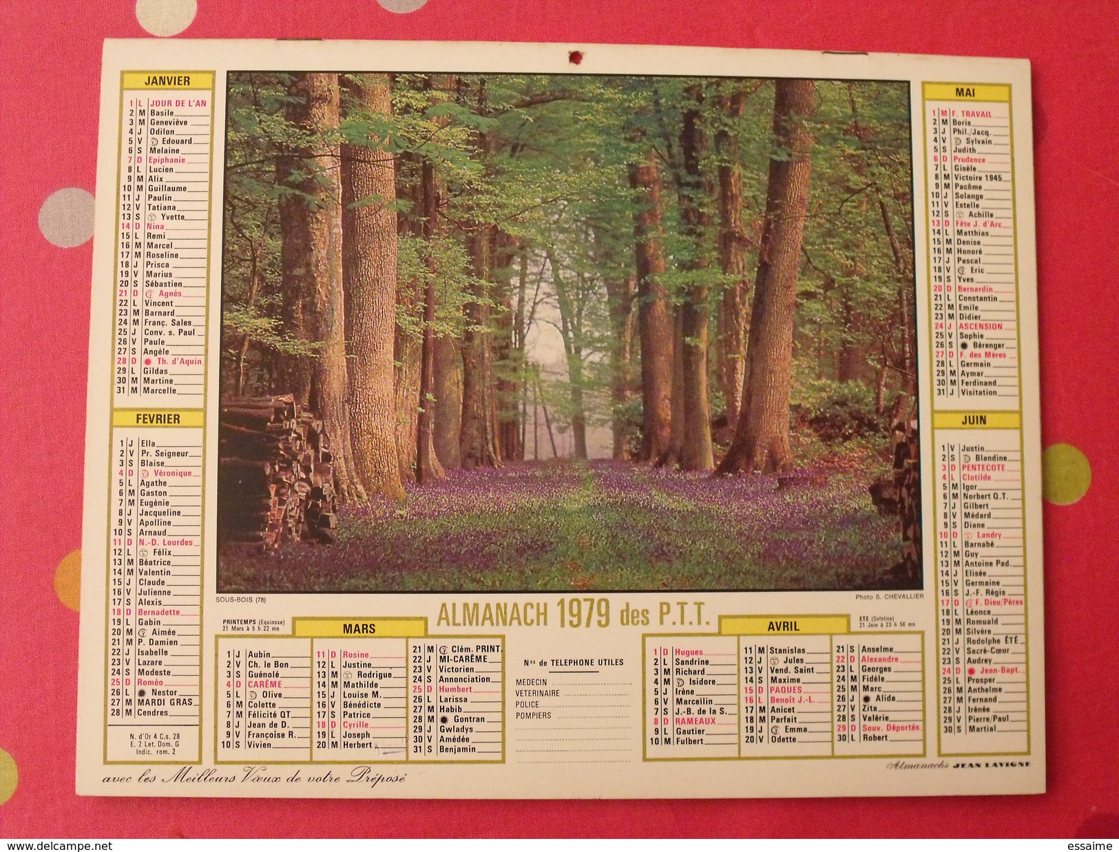 Almanach Des PTT. 1979. Mayenne Laval. Calendrier Poste, Postes Télégraphes. Sous-bois Moutons Causses - Grand Format : 1971-80