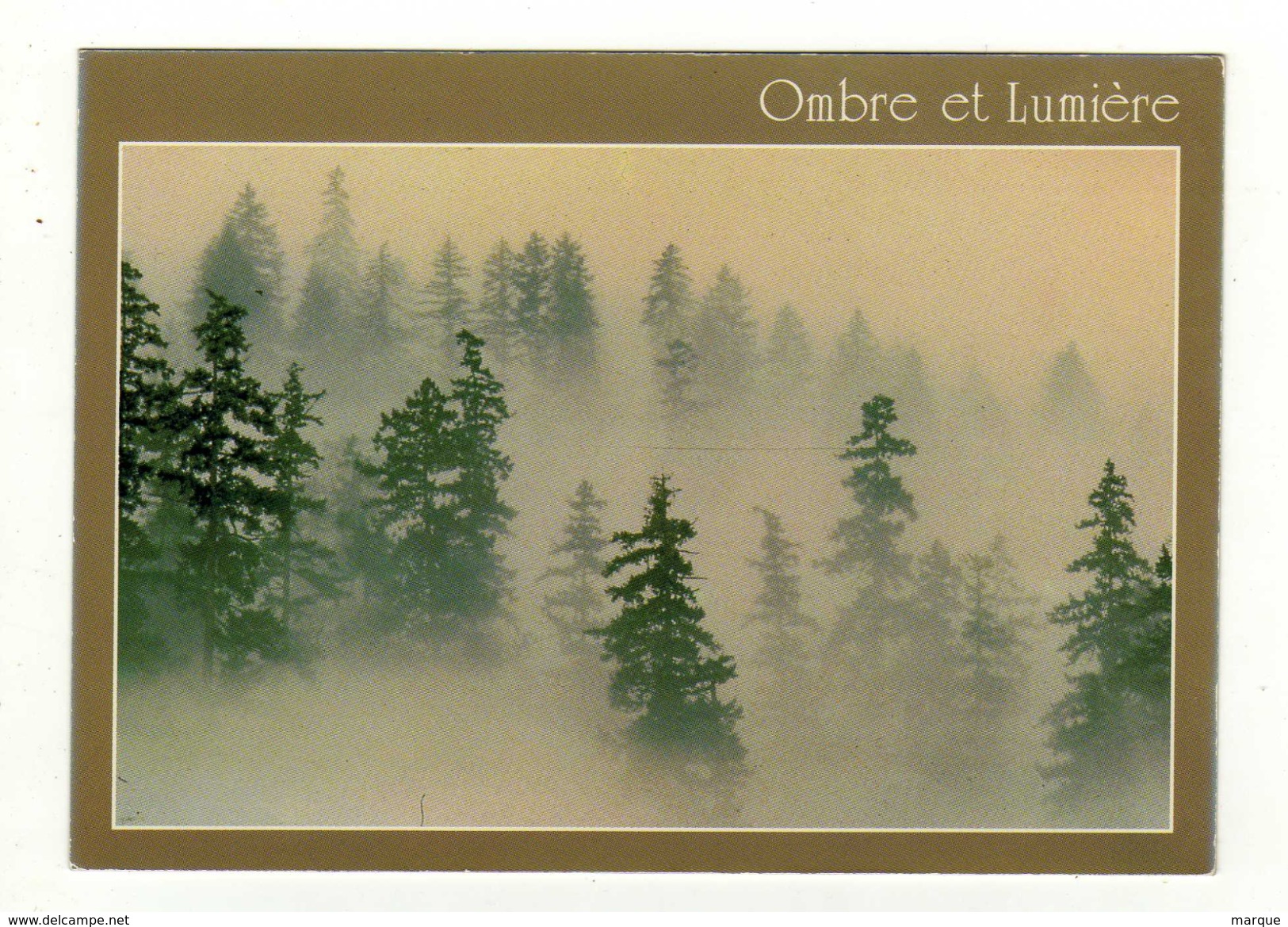 Cpm N° BM6 Ombre Et Lumière - Bomen