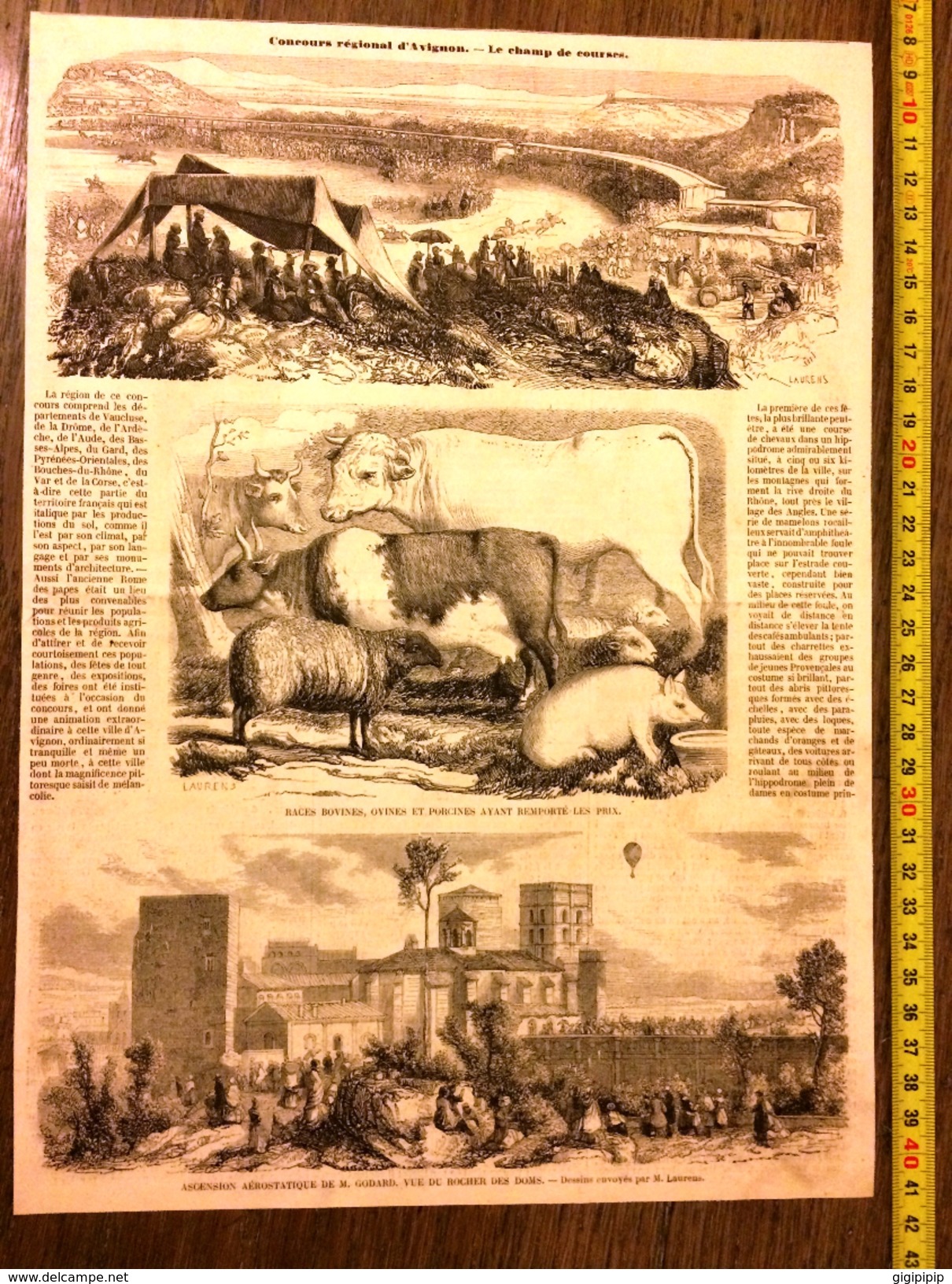 GRAVURE 1860 CONCOURS REGIONAL D AVIGNON LE CHAMP DE COURSE ET ASCENSION AEROSTATIQUE DE M GODARD DES DOMS DE LAURENS - Collections