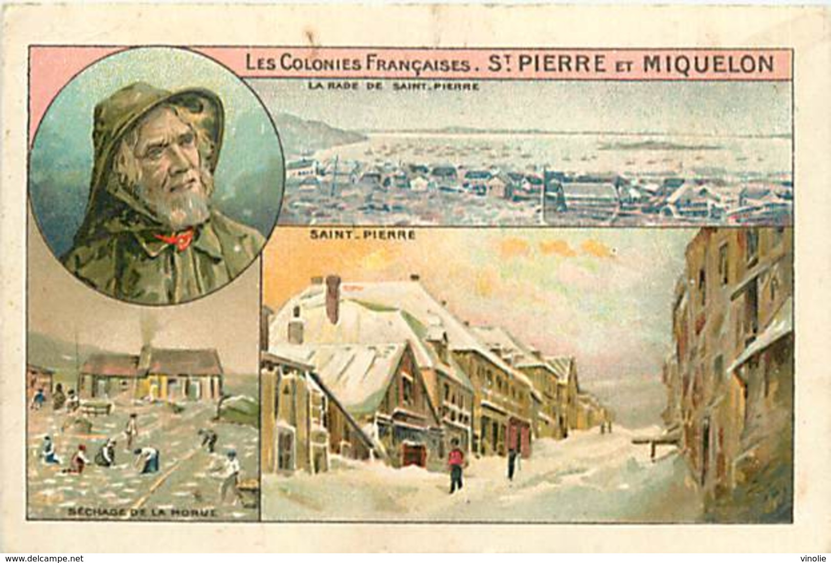 PIE-16-P - 3533 : SAINT PIERRE ET MIQUELON  OUATAPLASME DU DOCTEUR LANGLEBERT - Other & Unclassified