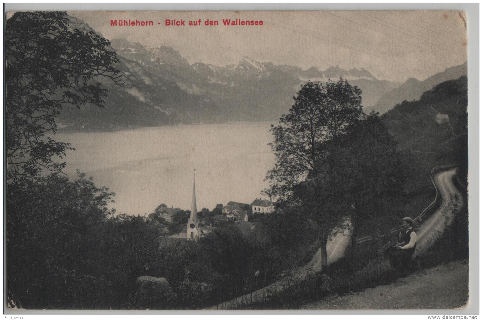 Mühlehorn - Blick Auf Den Walensee - Animee - Photo: J. Kamm - Mühlehorn