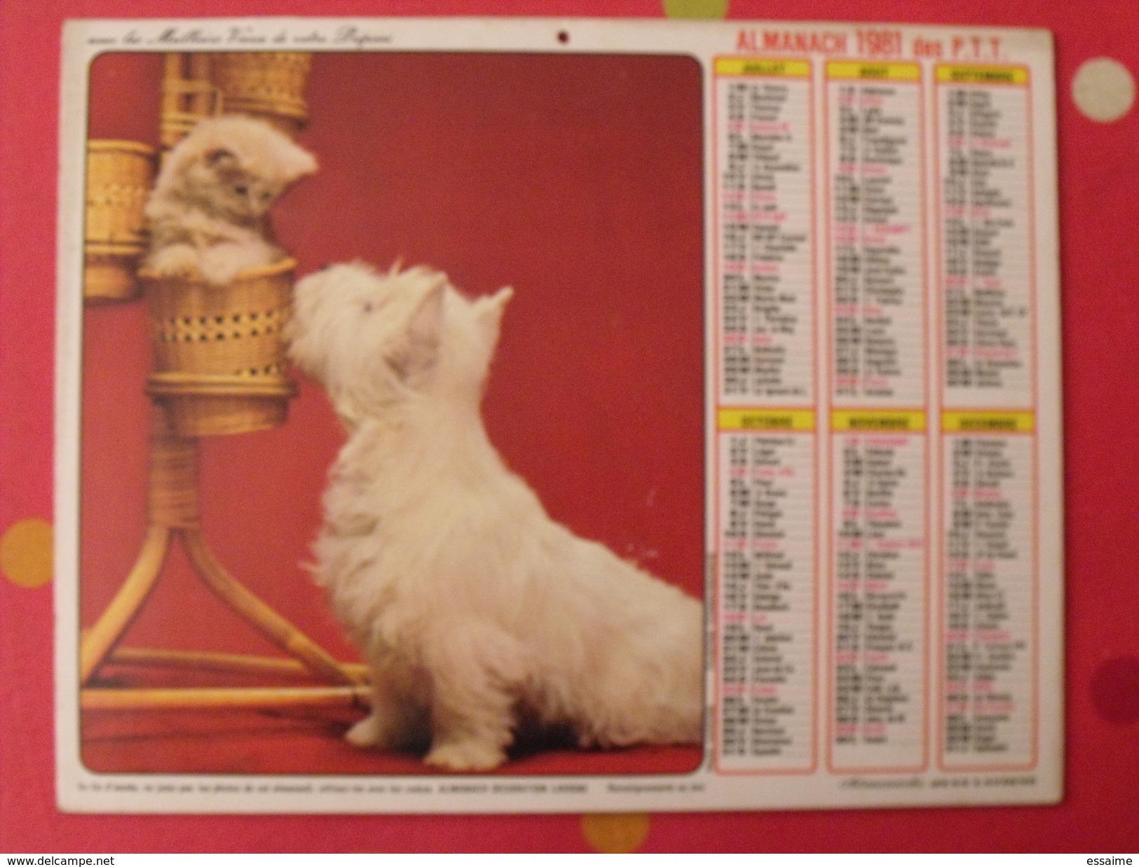 Almanach Des PTT. 1981. Mayenne Laval. Calendrier Poste, Postes Télégraphes. Chein Chat - Grand Format : 1971-80
