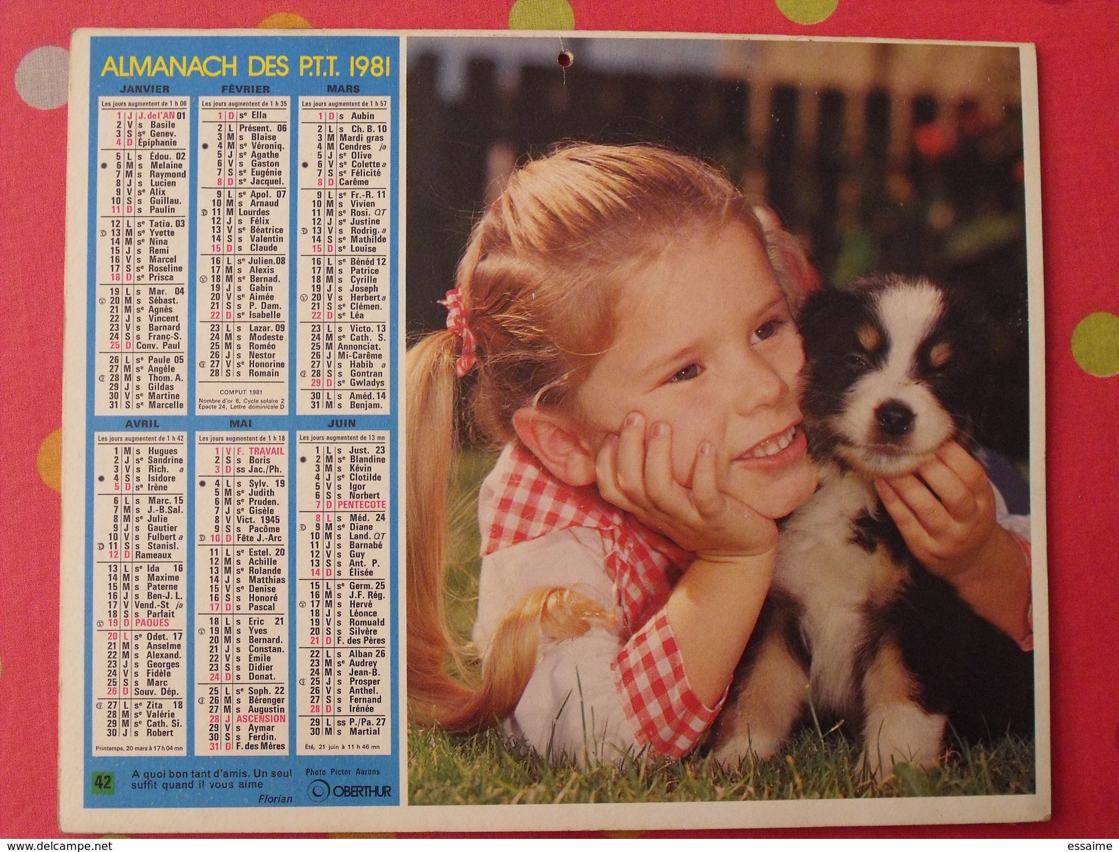 Almanach Des PTT. 1981. Mayenne Laval. Calendrier Poste, Postes Télégraphes. Chien Fillette - Grossformat : 1971-80