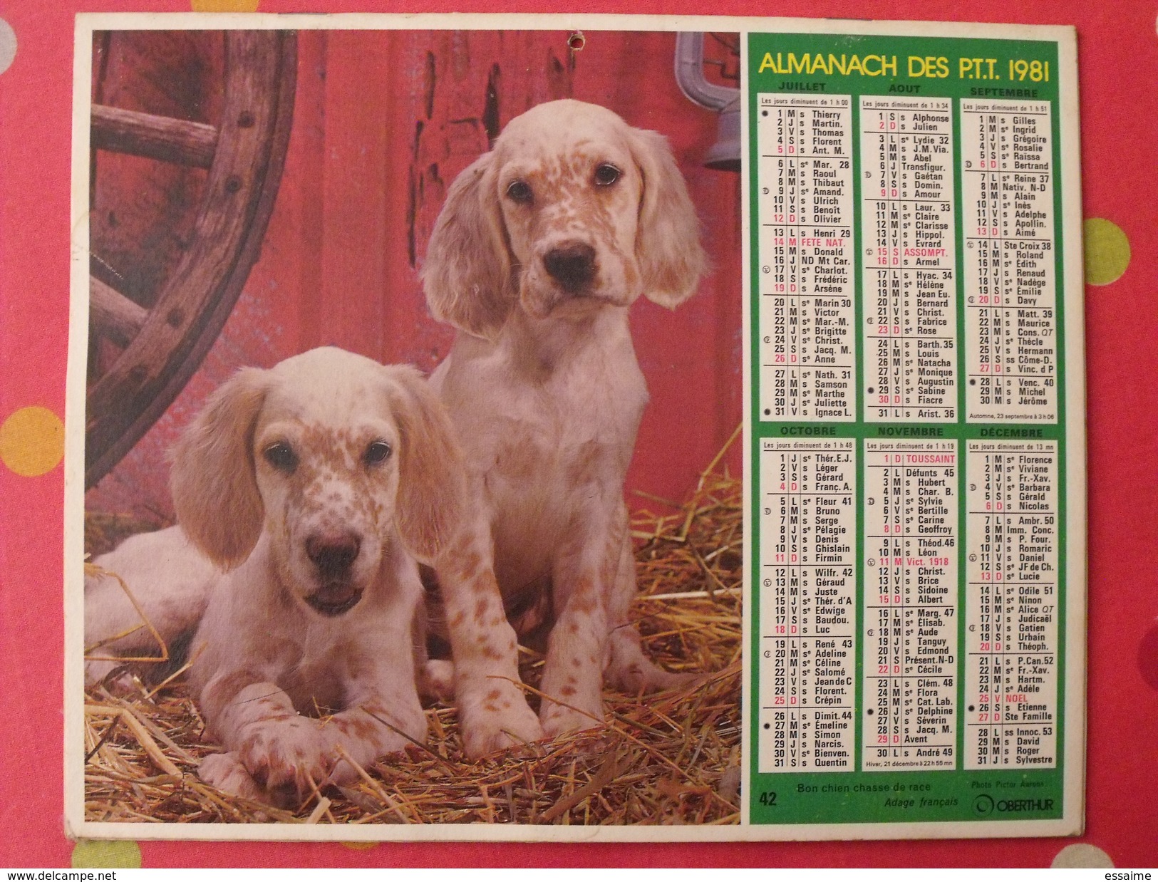 Almanach Des PTT. 1981. Mayenne Laval. Calendrier Poste, Postes Télégraphes. Chien Fillette - Groot Formaat: 1971-80