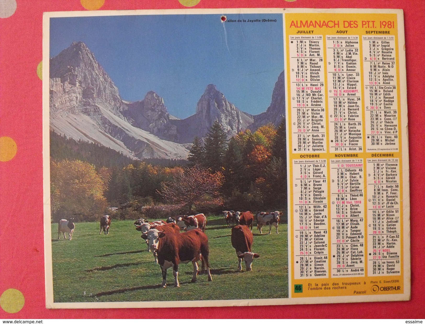 Almanach Des PTT. 1981. Mayenne Laval. Calendrier Poste, Postes Télégraphes. Sappey Chartreuse Jayatte Drôme - Tamaño Grande : 1971-80