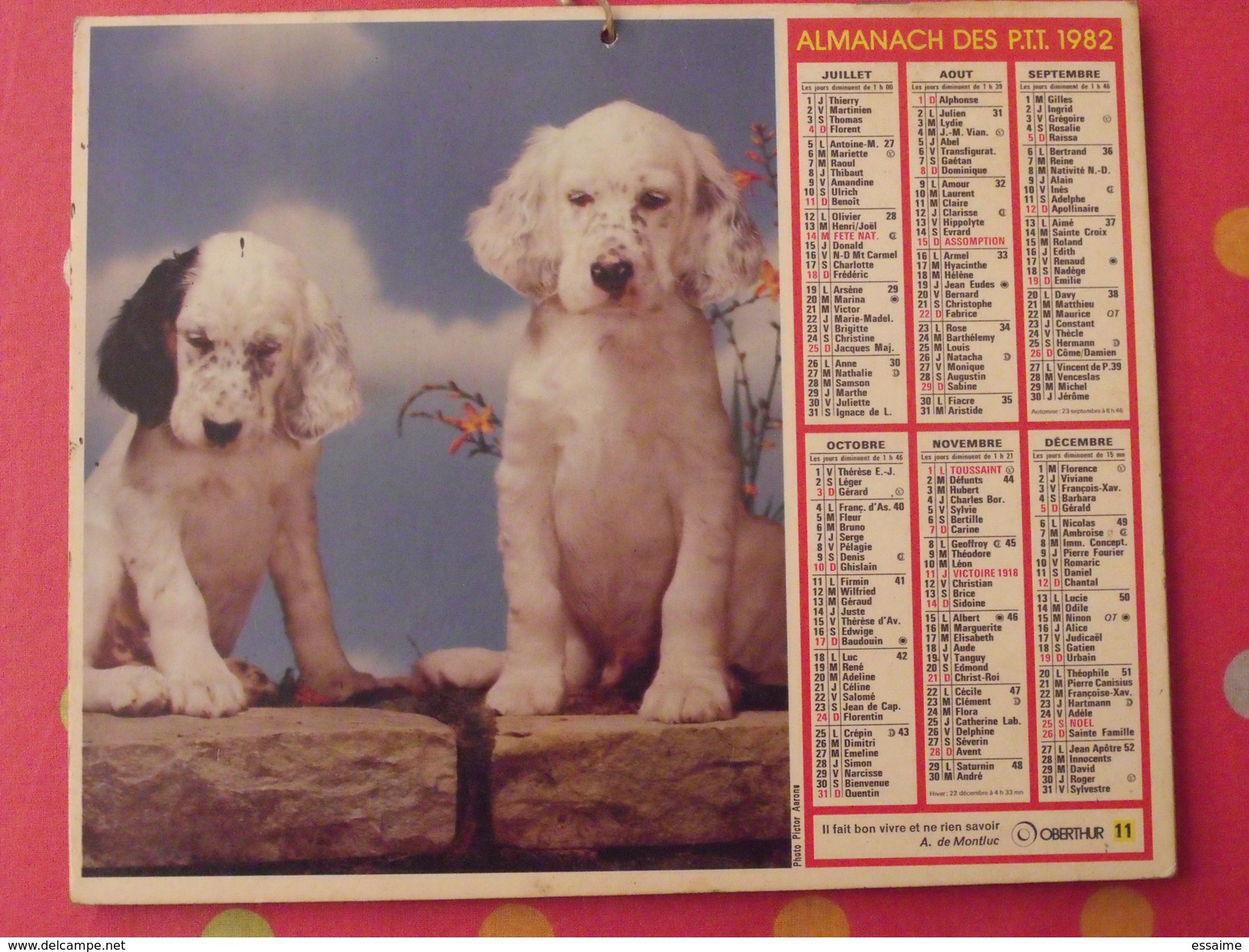 Almanach Des PTT. 1982. Mayenne Laval. Calendrier Poste, Postes Télégraphes. Chien Fillette Poussin - Grossformat : 1971-80