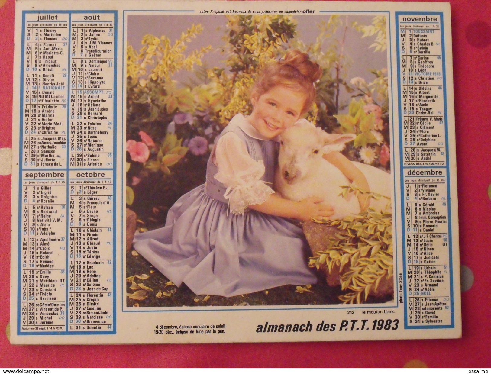 Almanach Des PTT. 1983. Mayenne Laval. Calendrier Poste, Postes Télégraphes. Mouton Chien Fillette - Grand Format : 1971-80