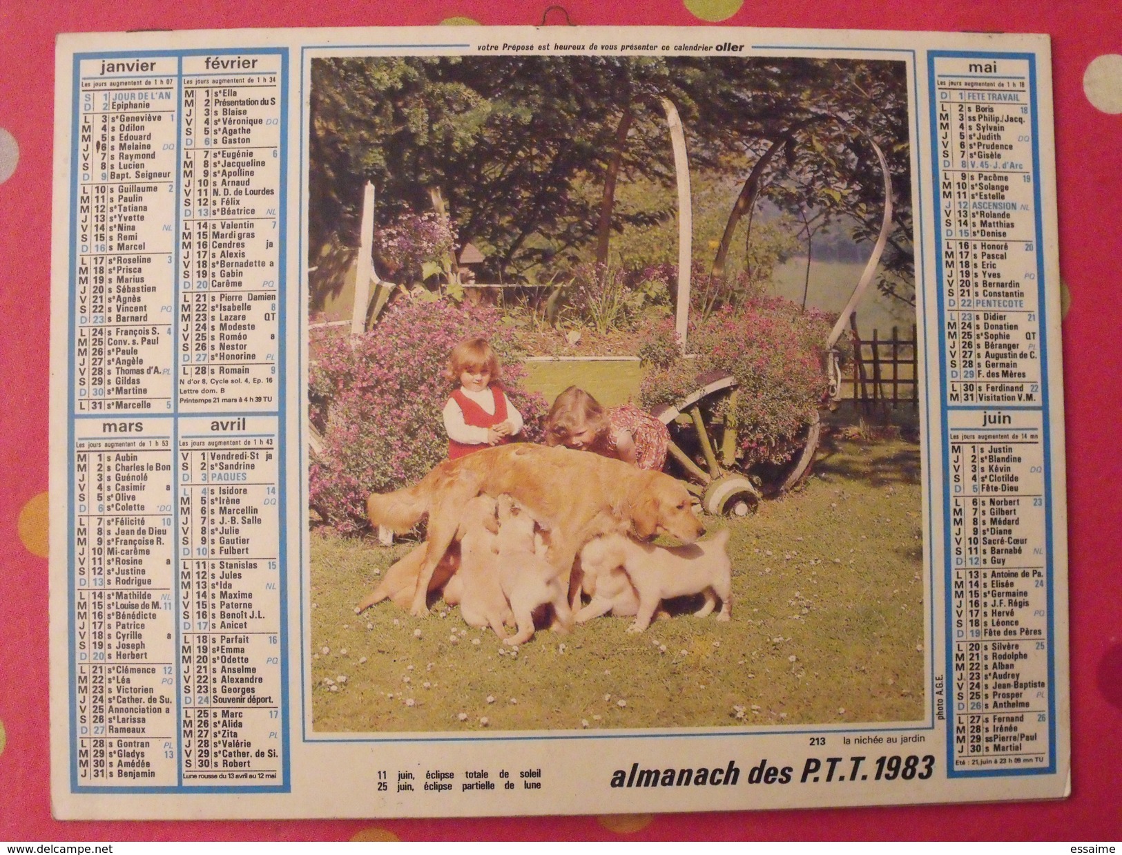 Almanach Des PTT. 1983. Mayenne Laval. Calendrier Poste, Postes Télégraphes. Mouton Chien Fillette - Grand Format : 1971-80