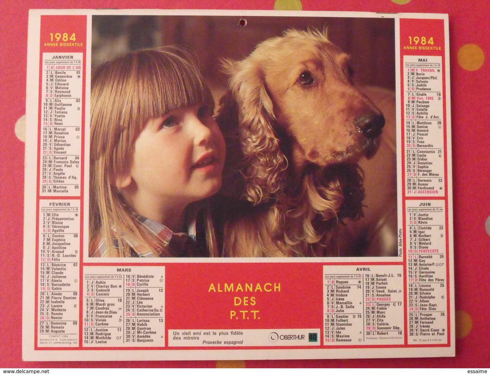 Almanach Des PTT. 1984. Mayenne Laval. Calendrier Poste, Postes Télégraphes. Fillette Lapin Chien - Formato Grande : 1981-90