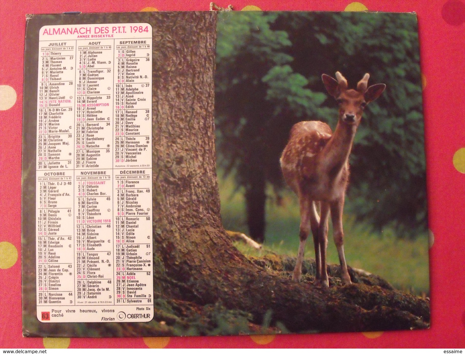 Almanach Des PTT. 1984. Mayenne Laval. Calendrier Poste, Postes Télégraphes. Biche Chien - Formato Grande : 1981-90