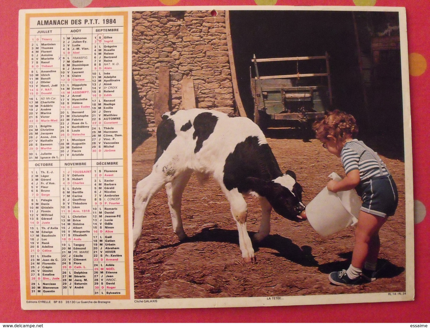 Almanach Des PTT. 1984. Mayenne Laval. Calendrier Poste, Postes Télégraphes. Fillette Poussin Veau - Grand Format : 1981-90