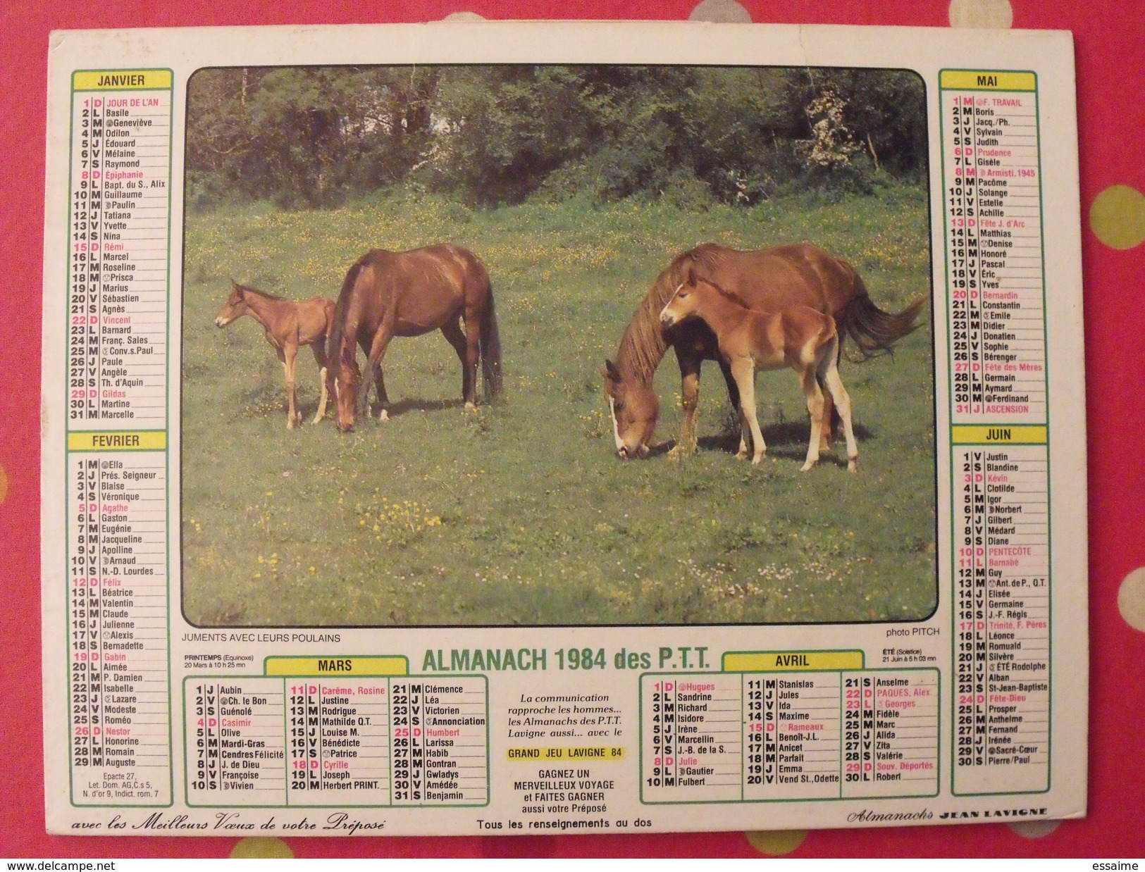 Almanach Des PTT. 1984. Mayenne Laval. Calendrier Poste, Postes Télégraphes. Cheval Poulain Ferme Corrèze - Groot Formaat: 1981-90