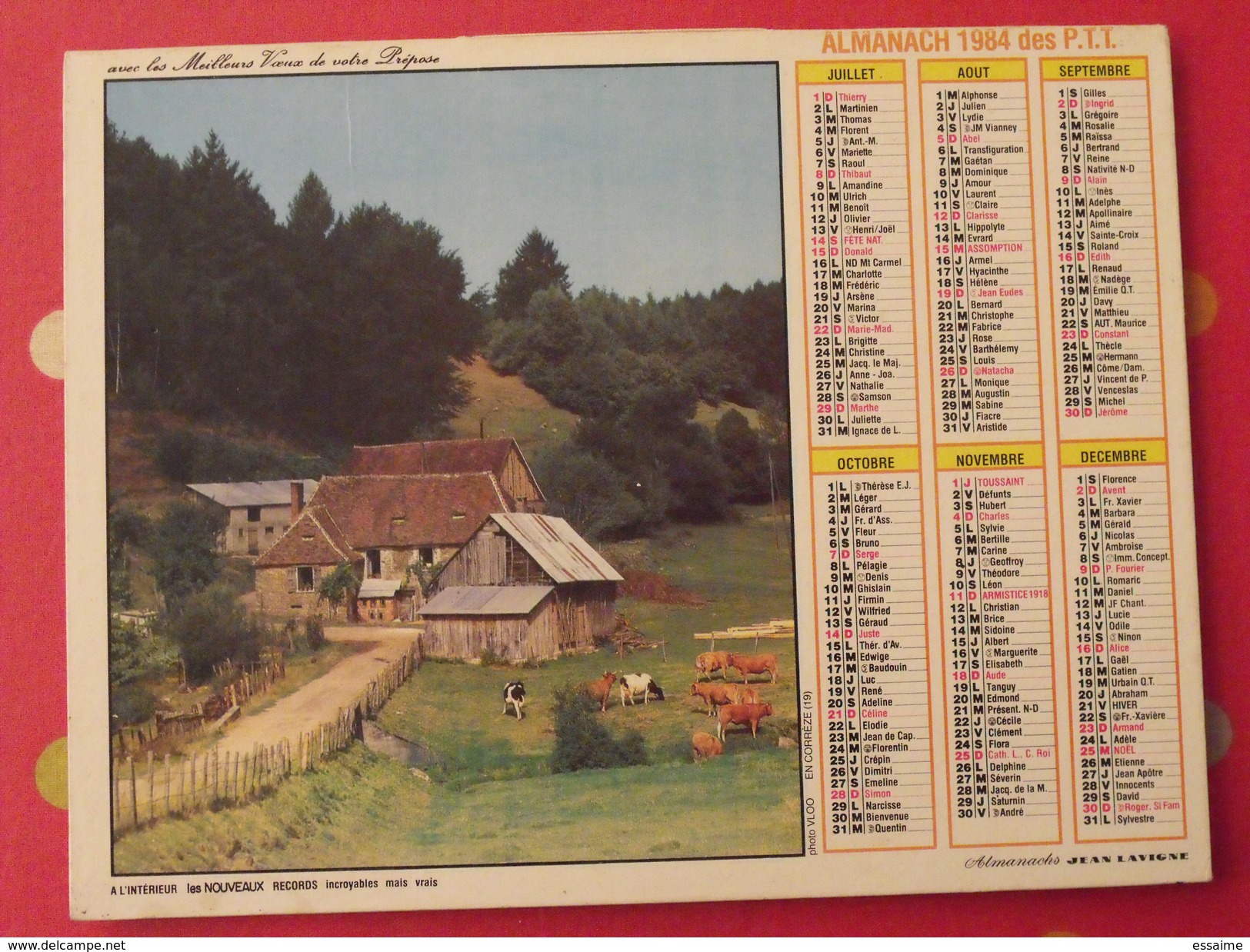 Almanach Des PTT. 1984. Mayenne Laval. Calendrier Poste, Postes Télégraphes. Cheval Poulain Ferme Corrèze - Tamaño Grande : 1981-90