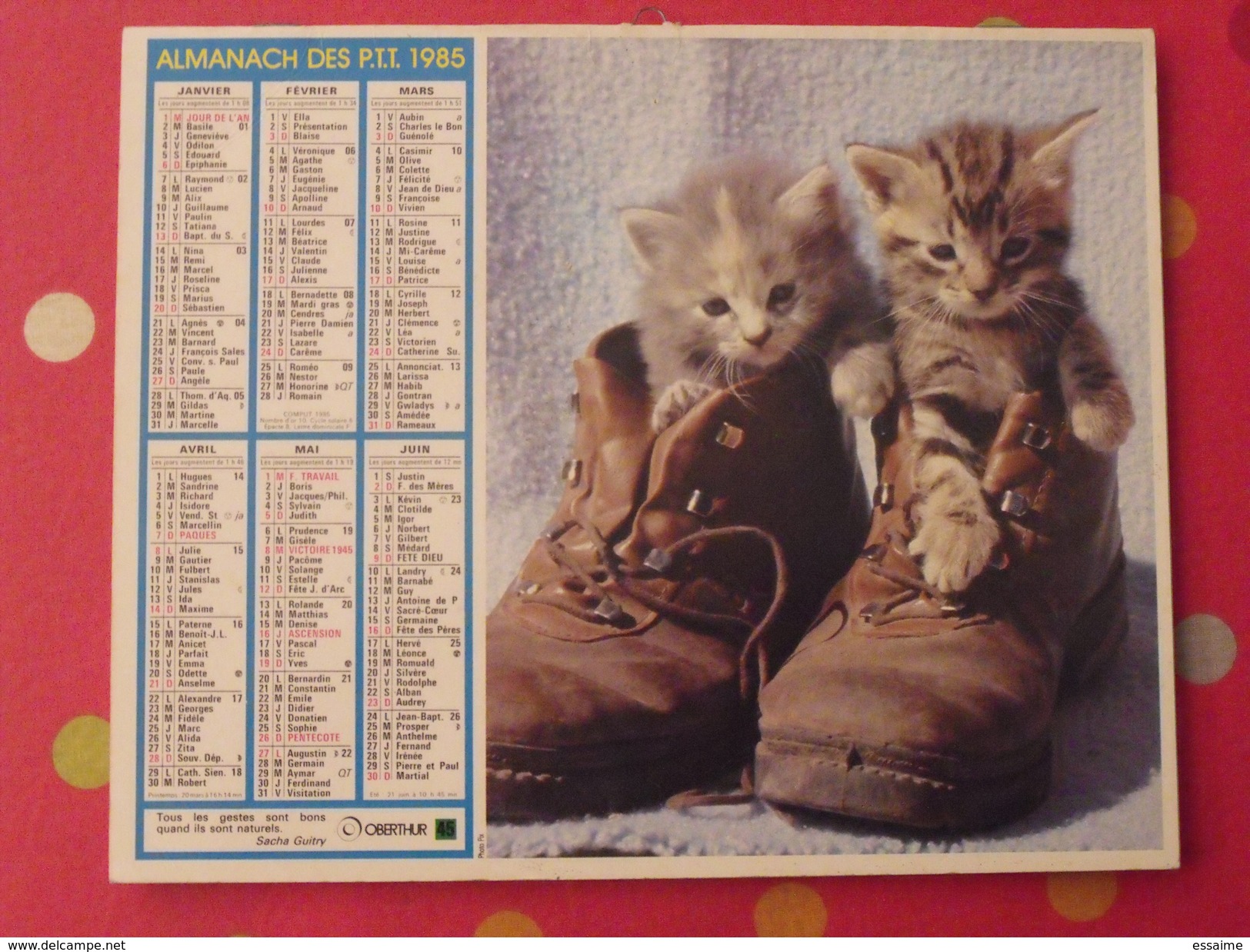 Almanach Des PTT. 1984. Mayenne Laval. Calendrier Poste, Postes Télégraphes. Chat Chien - Big : 1981-90