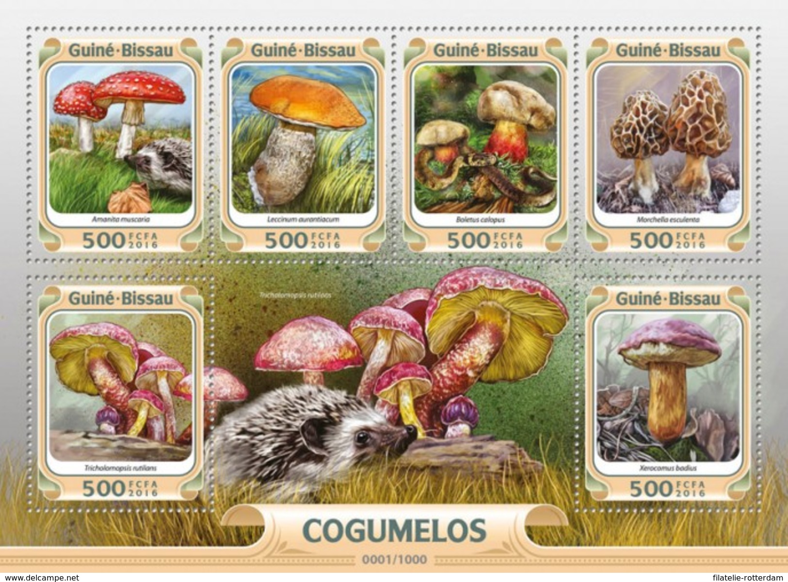 Guinee-Bissau / Guinea Bissau - Postfris / MNH - Sheet Paddenstoelen 2016 NEW! - Guinea-Bissau