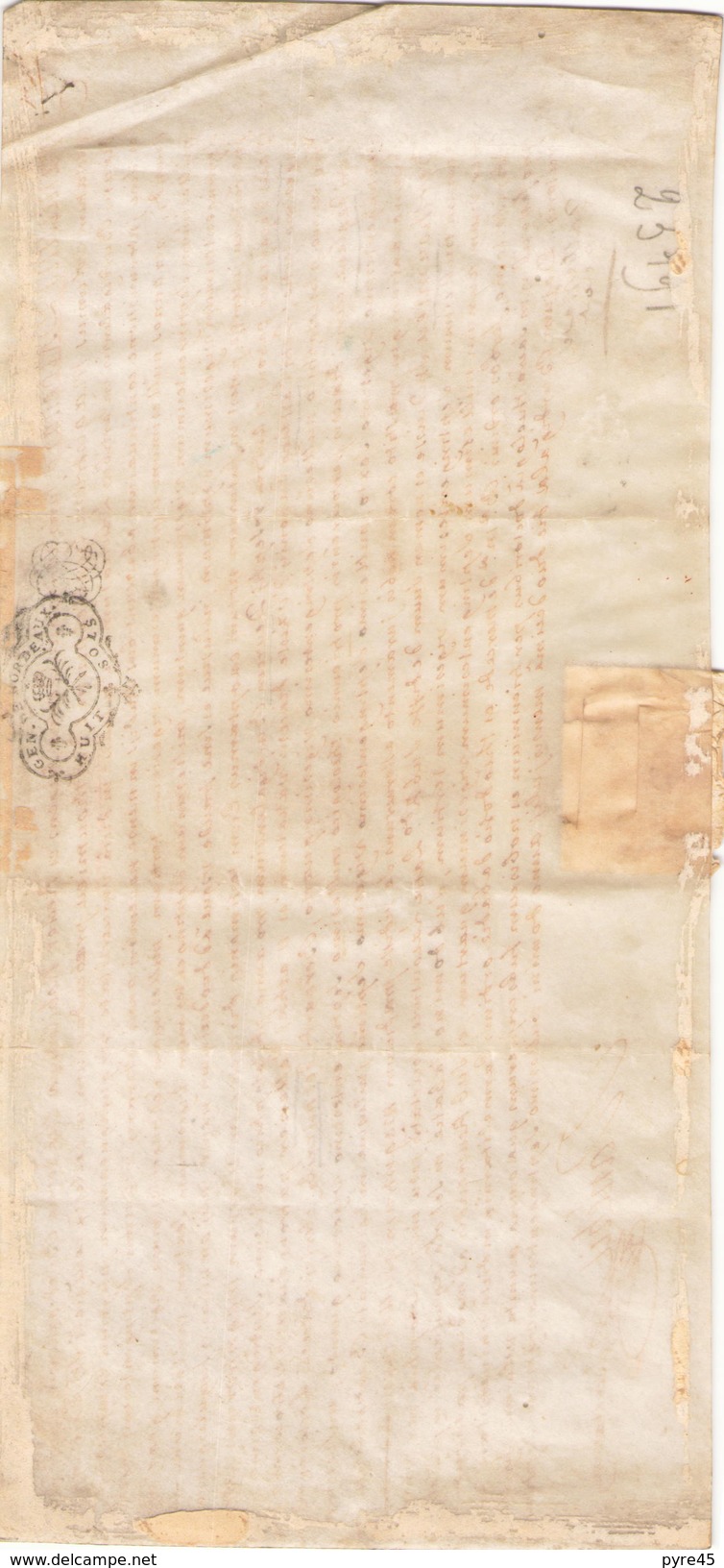 LETTRE EN LATIN DE BORDEAUX SUR PEAU DE PORC OU CHEVRE ALBELLARD - Manuscrits