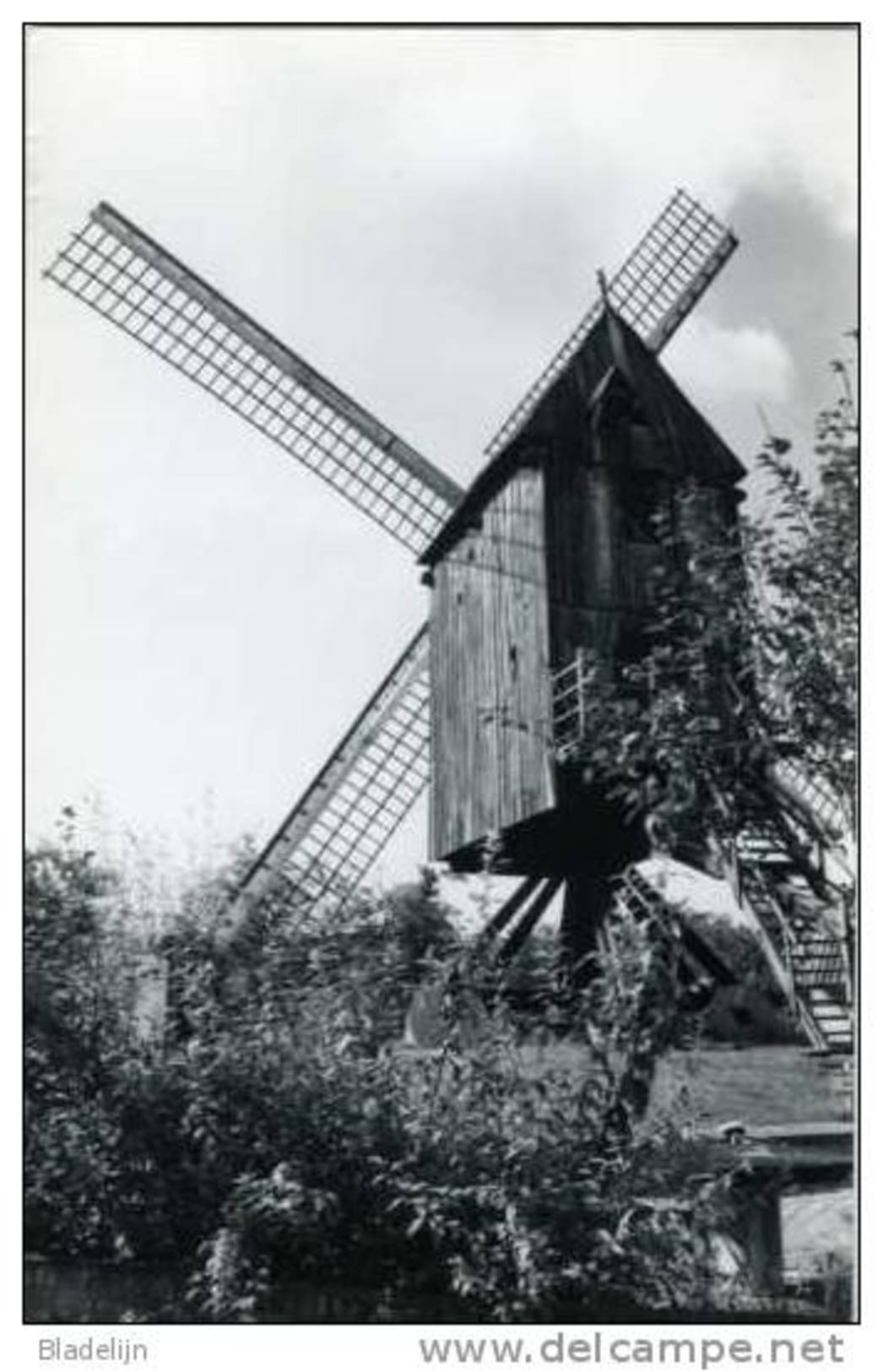 MALDEREN Bij Londerzeel (Vlaams-Brab.) - Molen/moulin - De Heidemolen Voor Zijn Instorting (door Storm Vernield In 1990) - Londerzeel