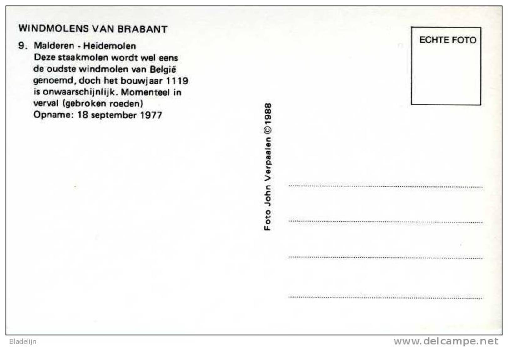 MALDEREN Bij Londerzeel (Vlaams-Brab.) - Molen/moulin - De Heidemolen Voor Zijn Instorting (door Storm Vernield In 1990) - Londerzeel