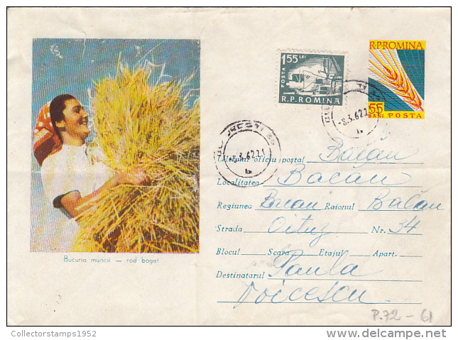 54282- WHEAT, GRAINS, AGRICULTURE, COVER STATIONERY, 1962, ROMANIA - Agriculture