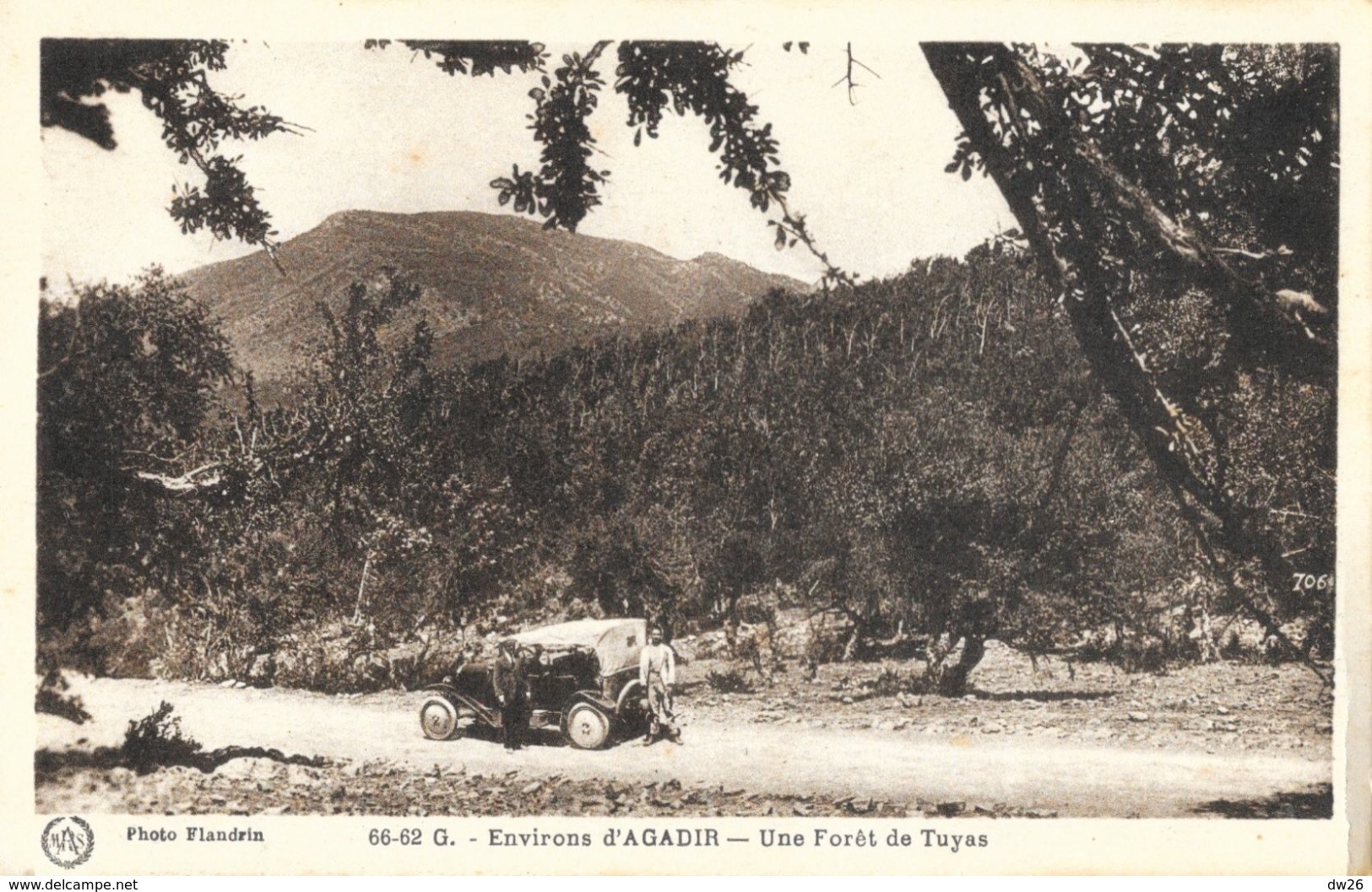 Maroc - Environs D'Agadir - Une Forêt De Tuyas - Photo Flandrin - Carte Animée, Non Circulée - Autres & Non Classés