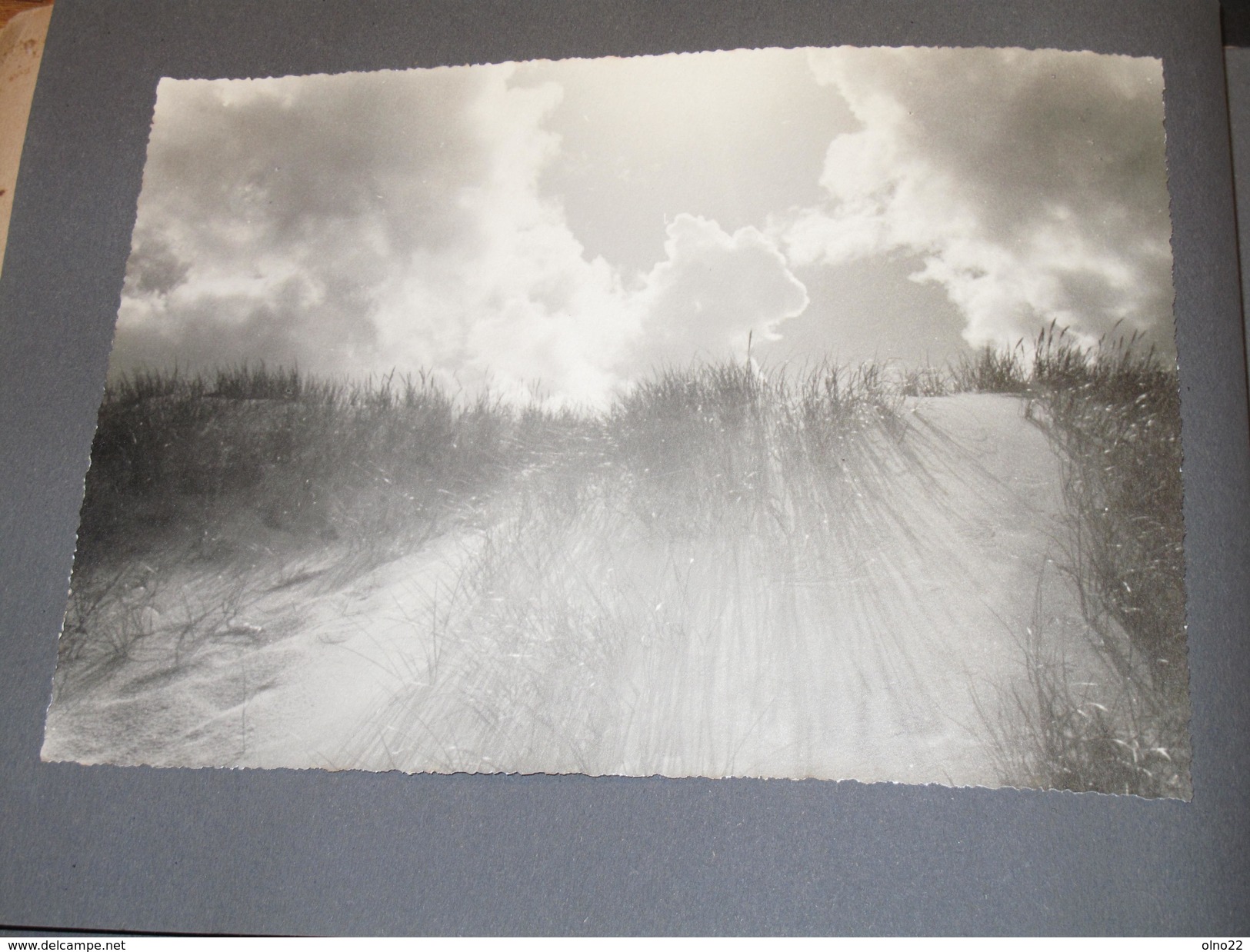 SYLT - 7 photos - Album intitulé "1945 Dunen und Meer". Zum 6 oktober 45. Foto Fritz LANZRATH WERSTERLAND/SYLT