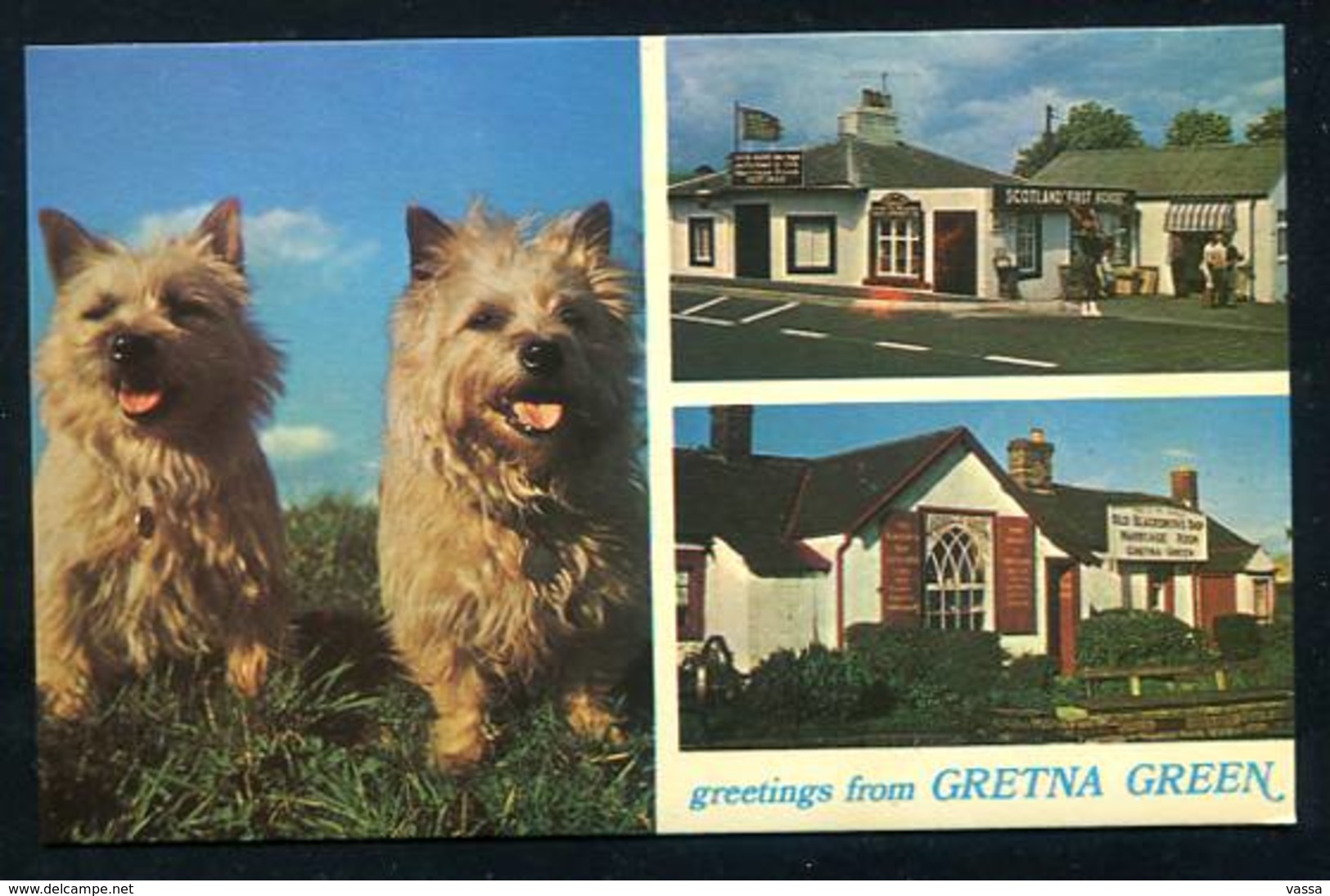 UK - Sctotland - Freetings From GRETNA GREEN - Dogs - Dumfriesshire