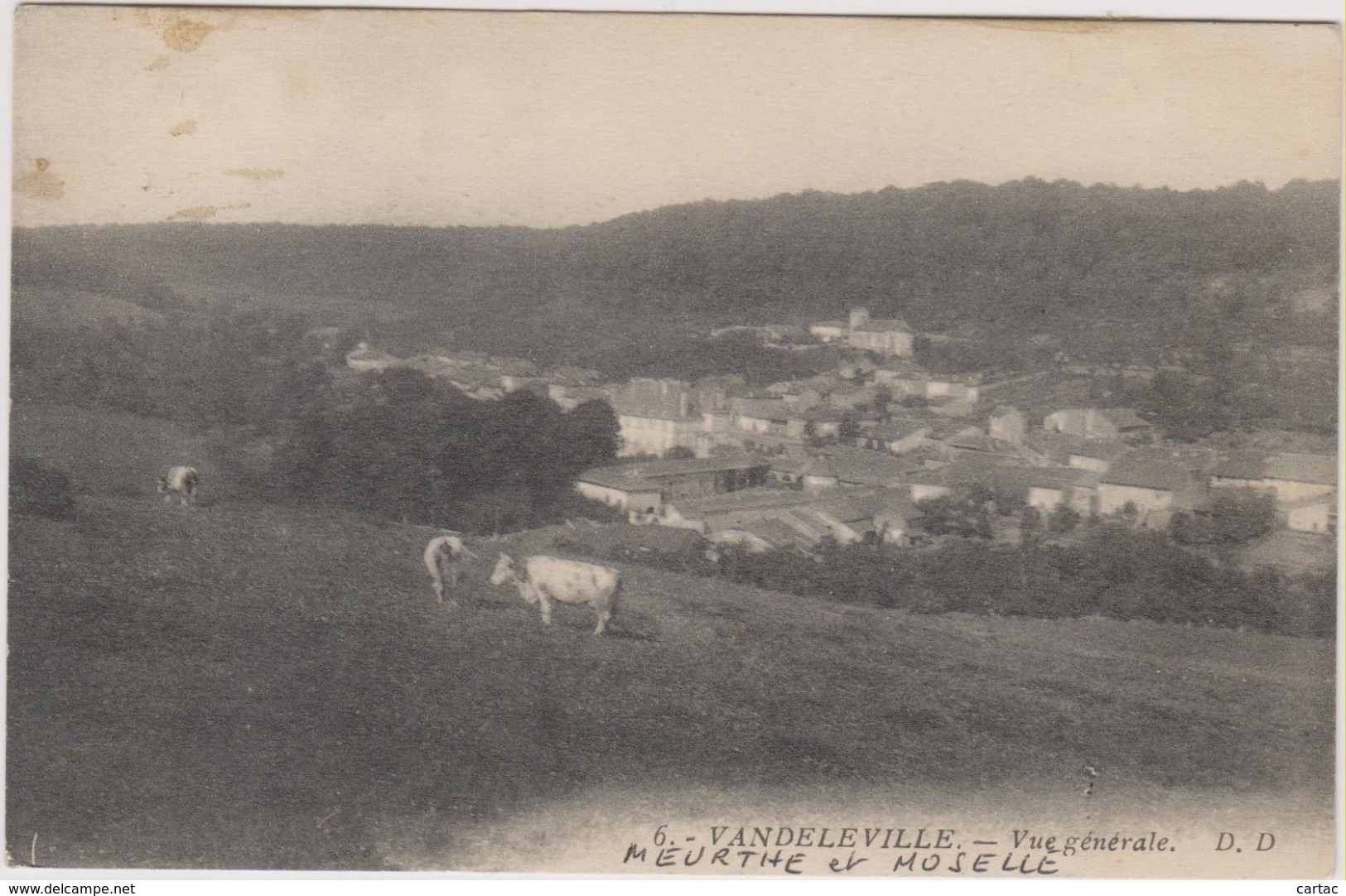 D54 - VANDELEVILLE - VUE GENERALE (VACHES) - Autres & Non Classés