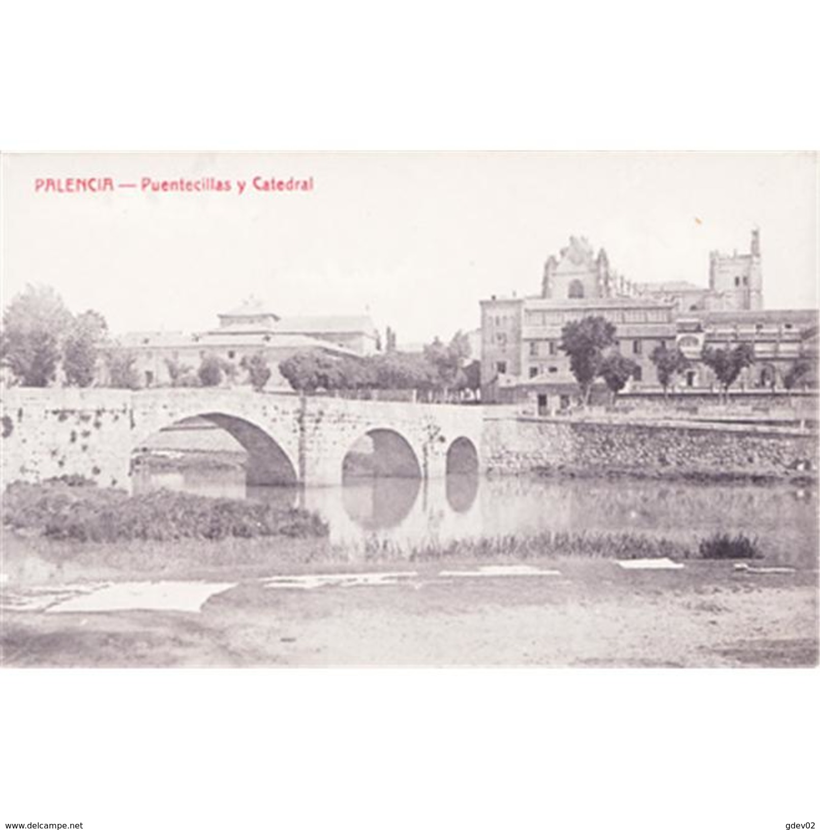 PLNCTPA154-LFTD9788.Tarjeta Postal DE PALENCIA.Arboles,RIO CARRION.PUENTECILLAS  En PALENCIA - Palencia