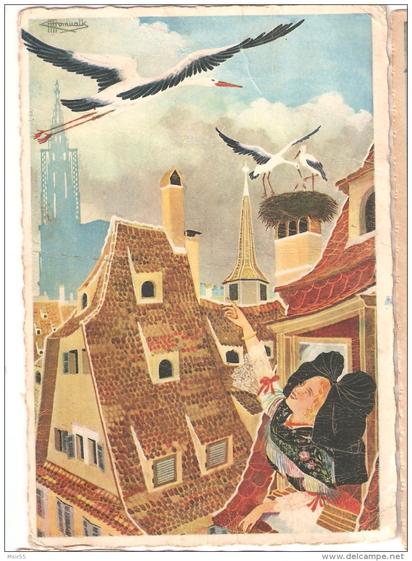 CPSM - FOLKLORE - FRANCE- Illustrateur P. Welcome - En Parcourant L'Alsace  :  Les Cigognes De Strasbourg - 1958 - Welcome P.