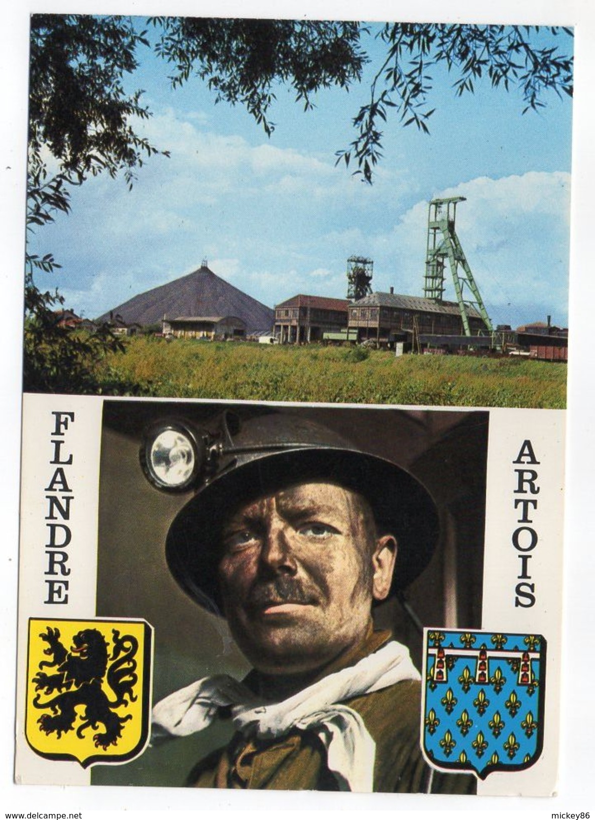 Mine - FLANDRE ARTOIS--Mineur-terril--Blasons  Cpsm 15 X 10 N° NC 337  éd  Europ........à Saisir - Mines