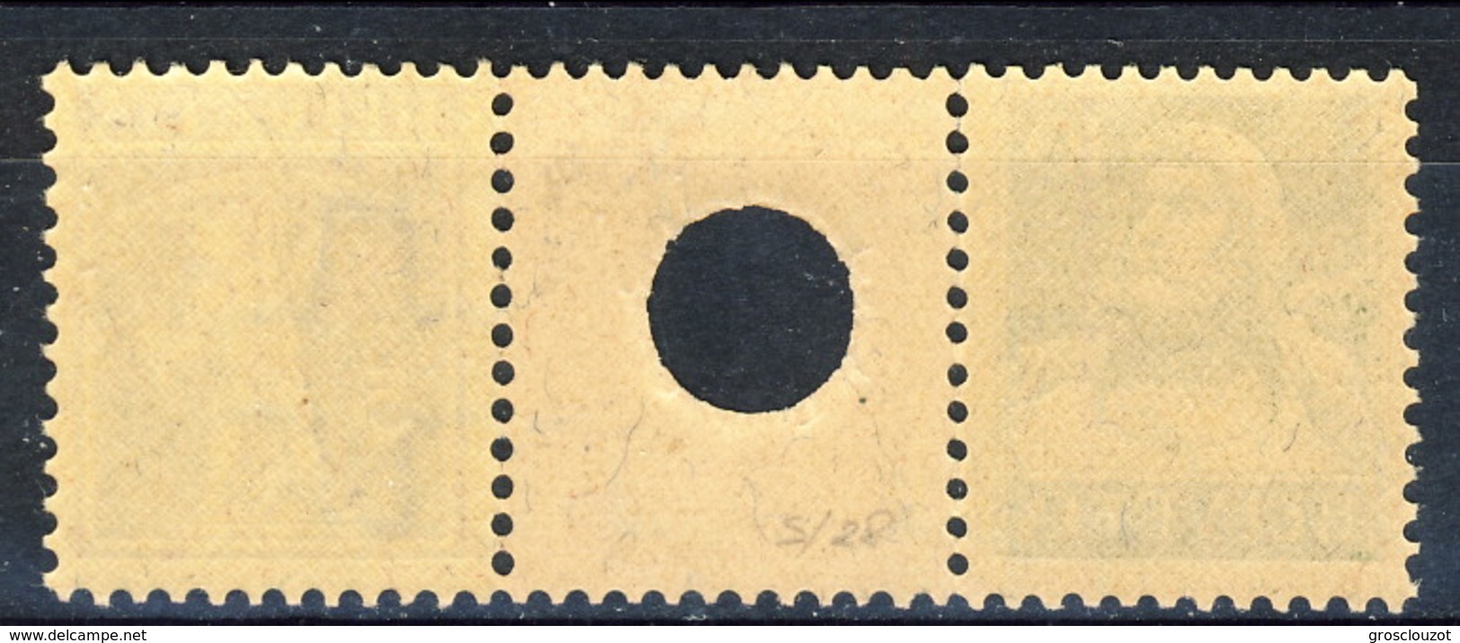 Svizzera Intespazi-foro Piccolo S28 N. 162+198 (10+5) MNH Cat. &euro; 800 PROBABILE FALSO - Tête-bêche