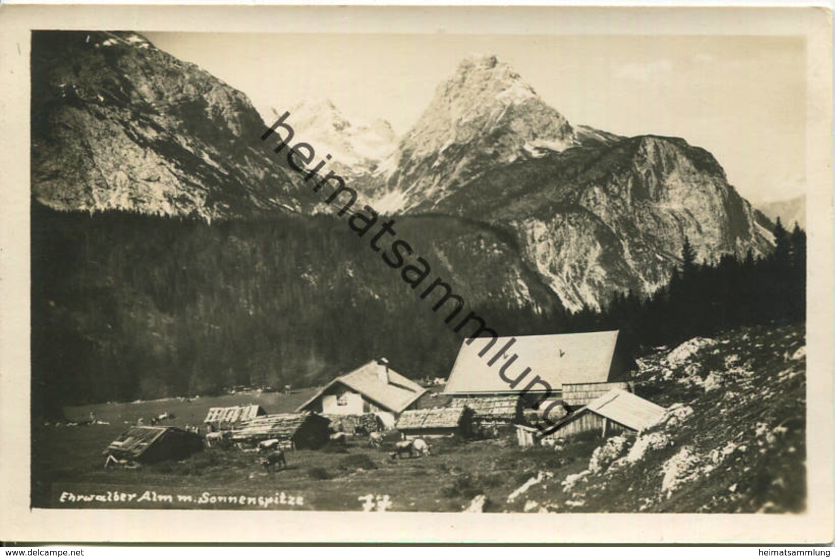 Ehrwald - Ehrwalder Alm - Foto-AK - Verlag A. Somweber Ehrwald Gel. 1931 - Ehrwald