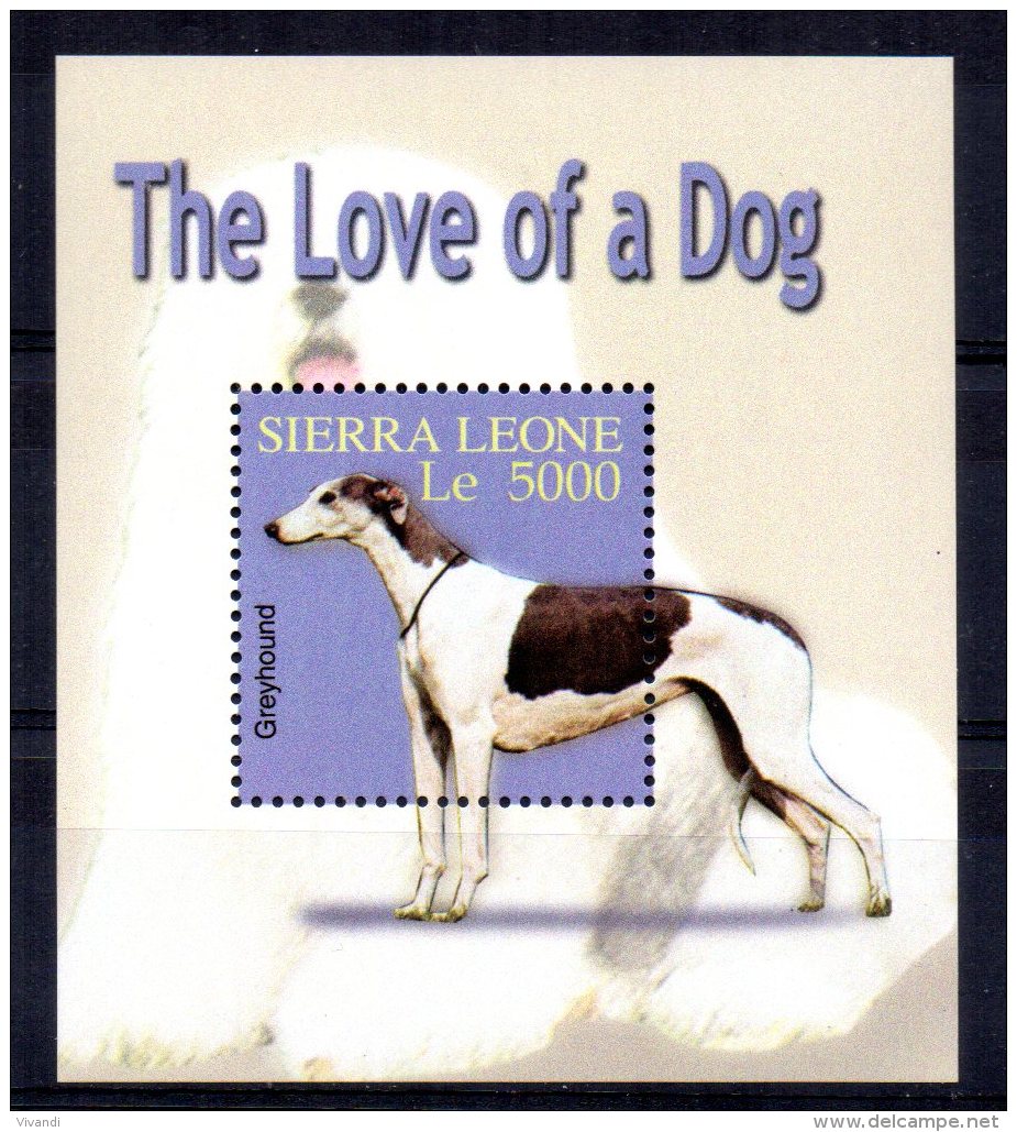 Sierra Leone - 2004 - Dogs/Greyhound Miniature Sheet - MNH - Sierra Leone (1961-...)