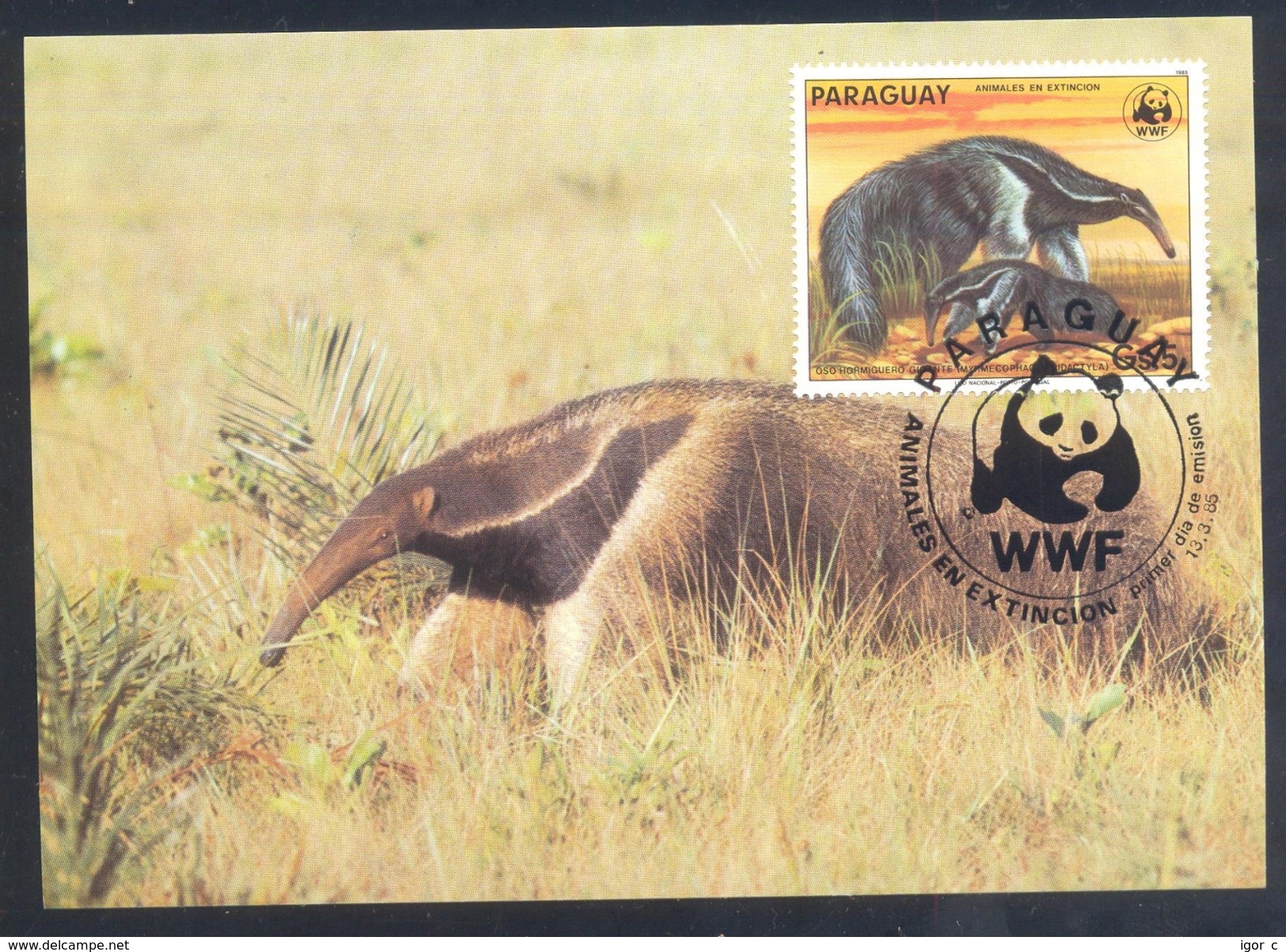 Paraguay 1985 Maximum Card Fauna WWF Animal Protection Tiere: Giant Anteater / Amiesenbär - Sonstige & Ohne Zuordnung
