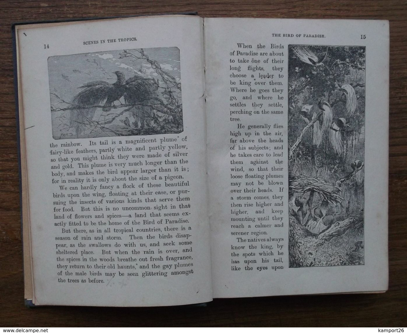 1897 ROYAL READERS Nº 4 ENGRAVINGS Royal School Series L'ÉCOLE DE LA SÉRIE - Opvoeding/Onderwijs