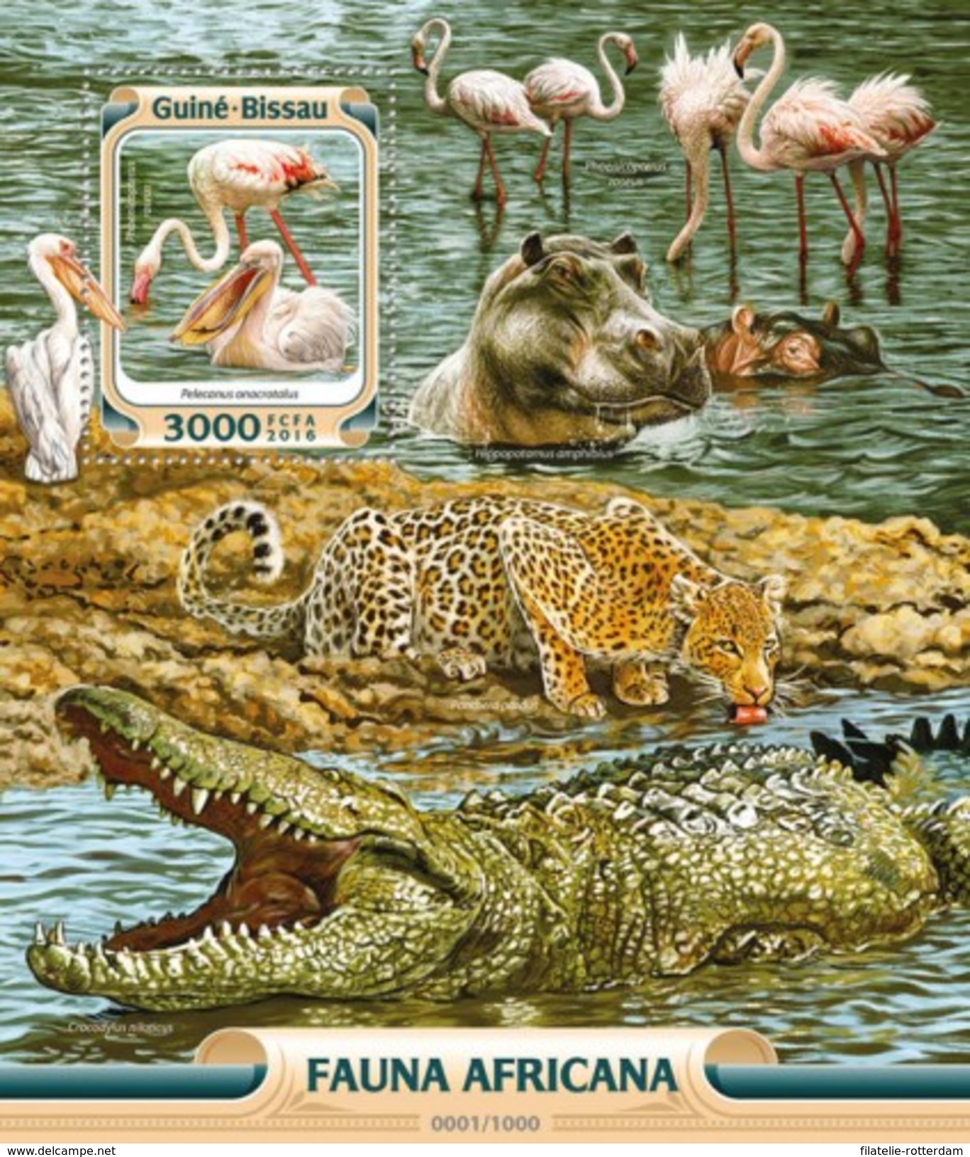 Guinee Bissau / Guinea-Bissau - Postfris / MNH - Sheet Afrikaanse Fauna 2016 - Guinea-Bissau