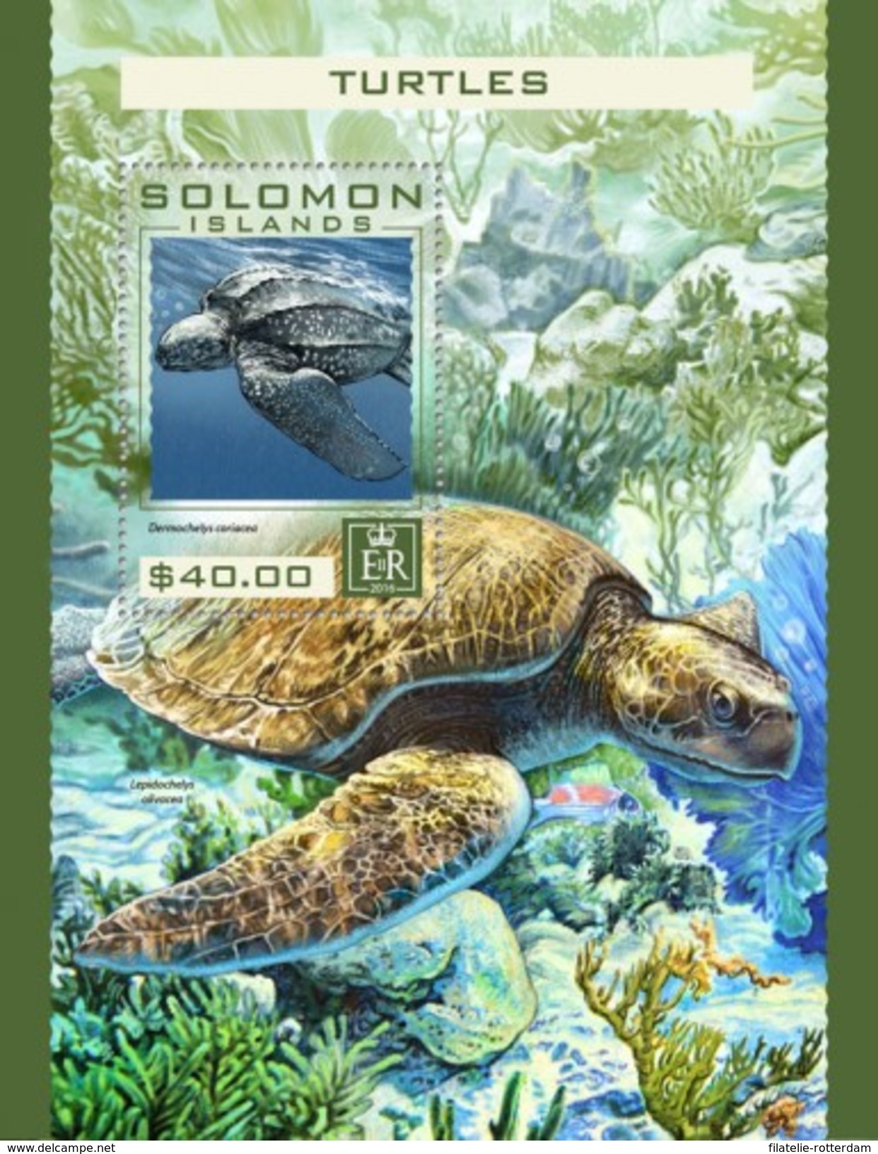 Solomon Eilanden / Solomon Islands - Postfris / MNH - Sheet Schildpadden 2016 - Solomoneilanden (1978-...)