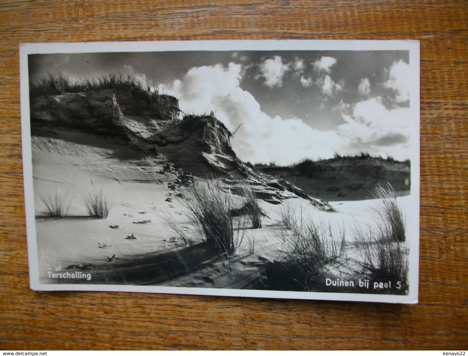 Carte Assez Rare , Pays-bas , Terschelling , Duinen Bij Paal - Terschelling