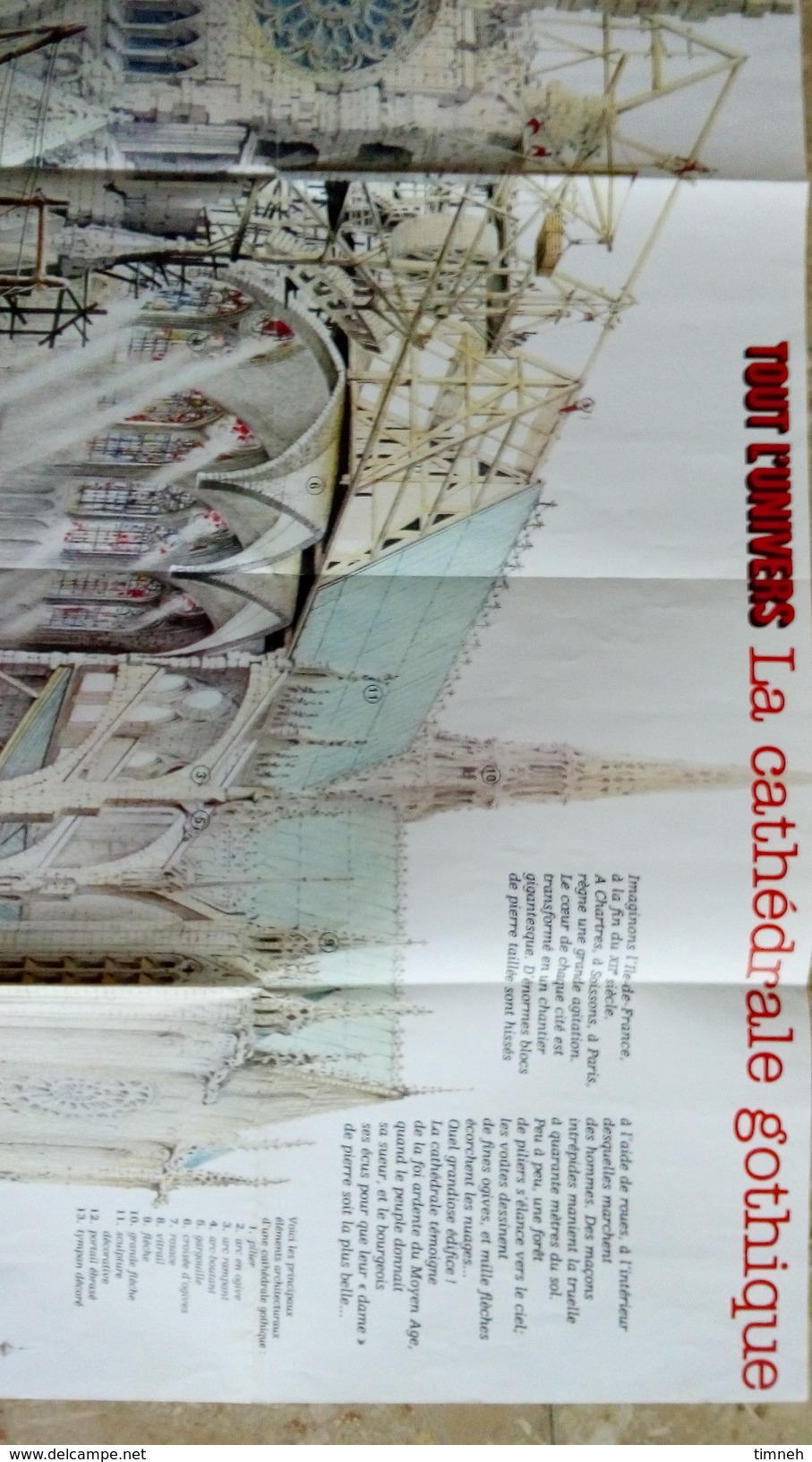 TOUT L'UNIVERS Une Grande Planche 85cmx55cm - La Cathédrale Gothique - Issue De La Collection Tout L'univers - Architecture