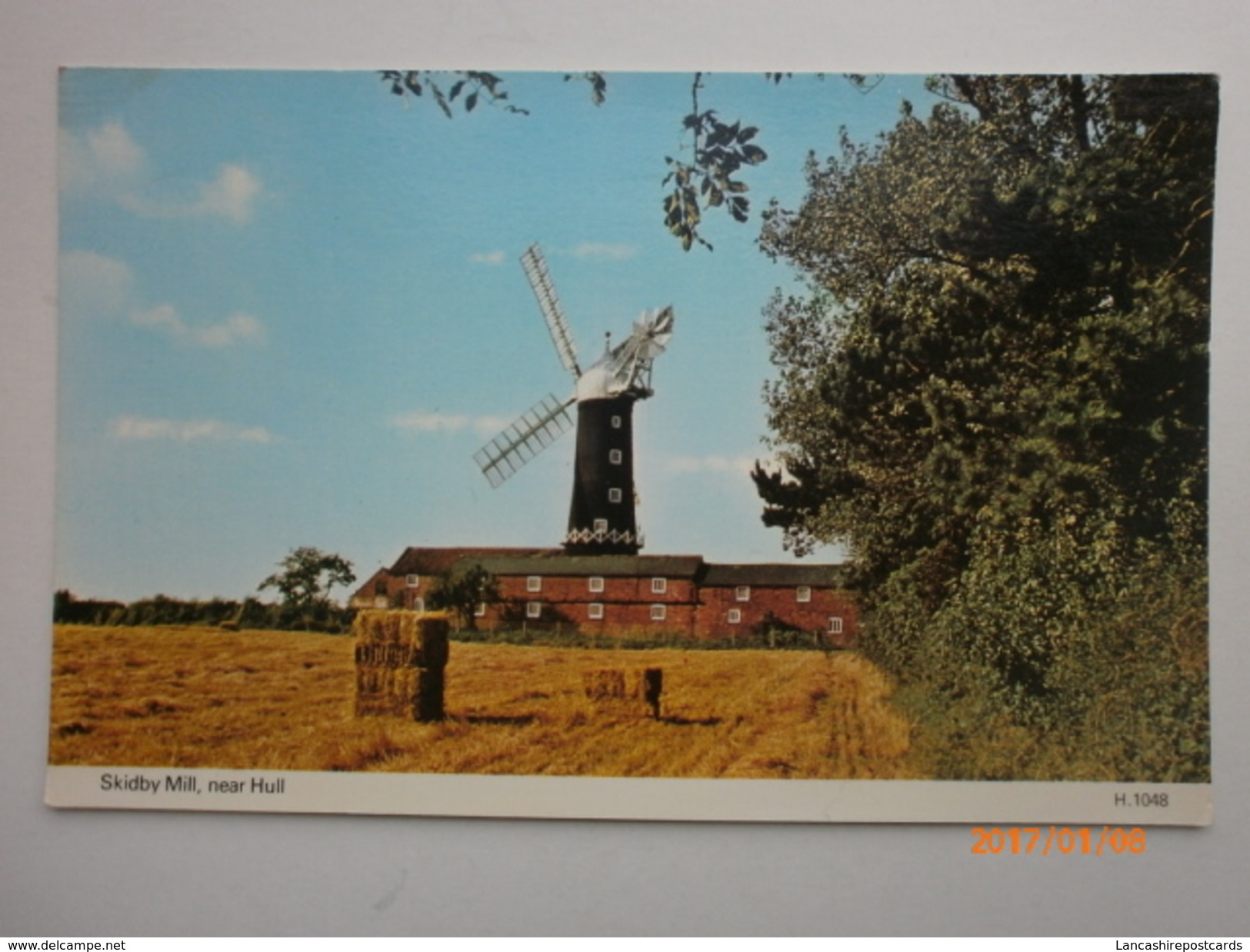 Postcard Skidby Mill [ Windmill ] Near Hull East Riding Of Yorkshire My Ref B1450 - Hull