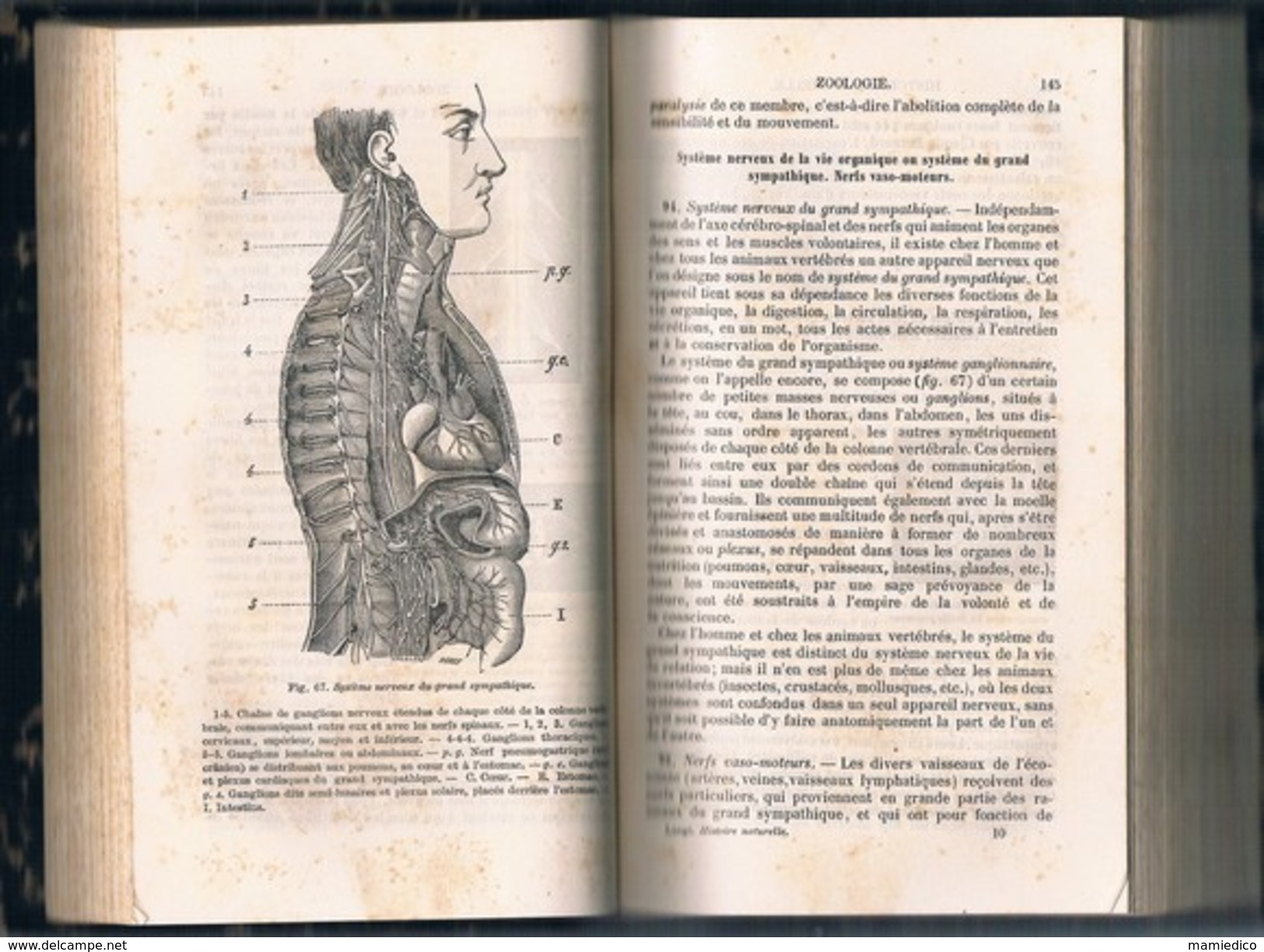 1885 HISTOIRE NATURELLE De J.LANGLEBERT 620 Pages Etat Très Correct Voir Description - 1801-1900