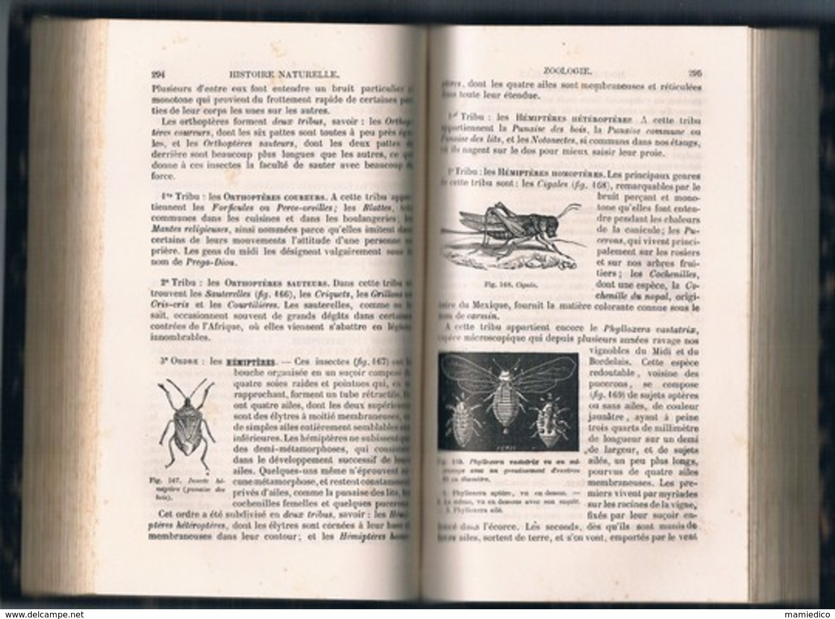 1885 HISTOIRE NATURELLE De J.LANGLEBERT 620 Pages Etat Très Correct Voir Description - 1801-1900