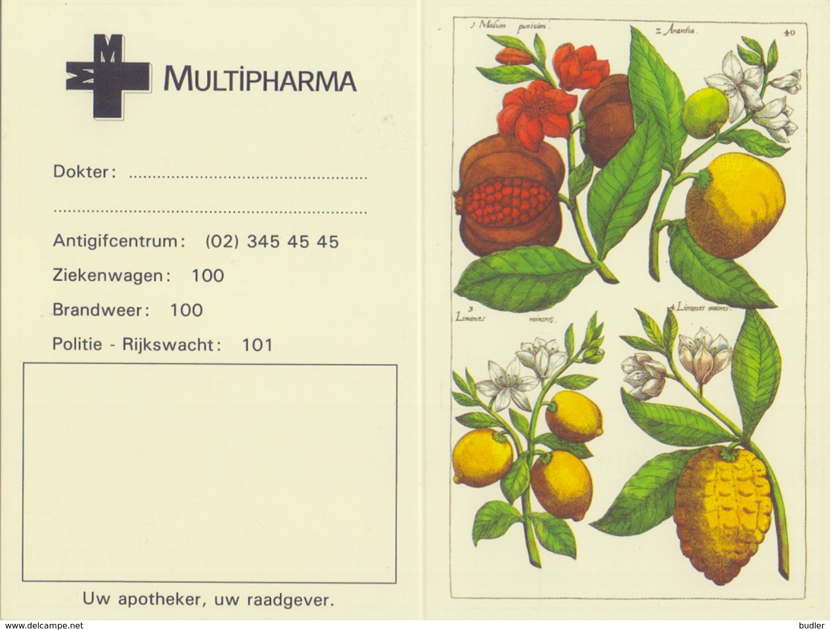 BELGIË/BELGIQUE : 1995 : Kalender / Calendrier De Poche  @§@ MULTIPHARMA @§@ : FLORA,FLEURS MÉDICINALES,HYA, - Klein Formaat: 1991-00