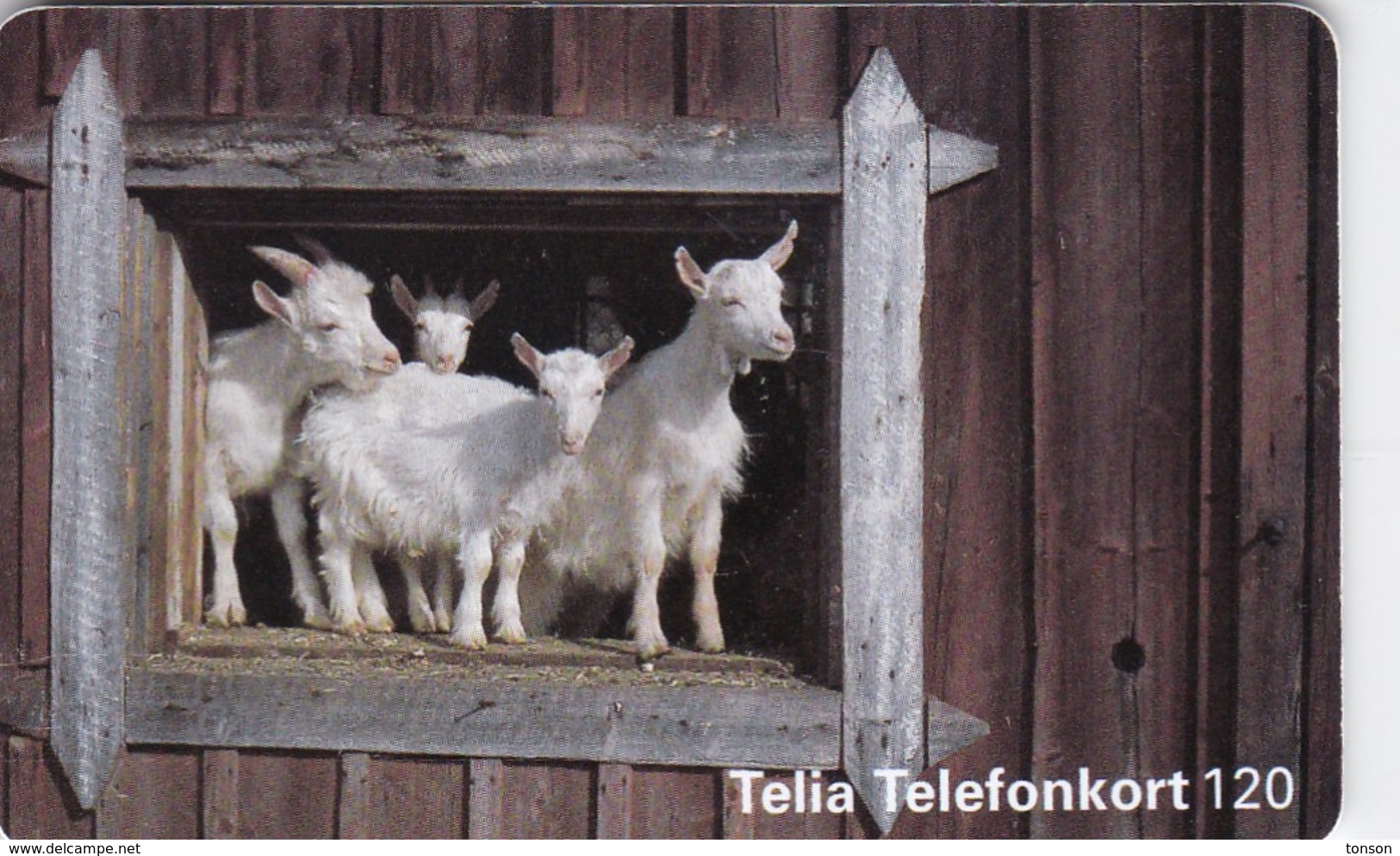 Sweden, 120.026, White Goats, 2 Scans. - Schweden